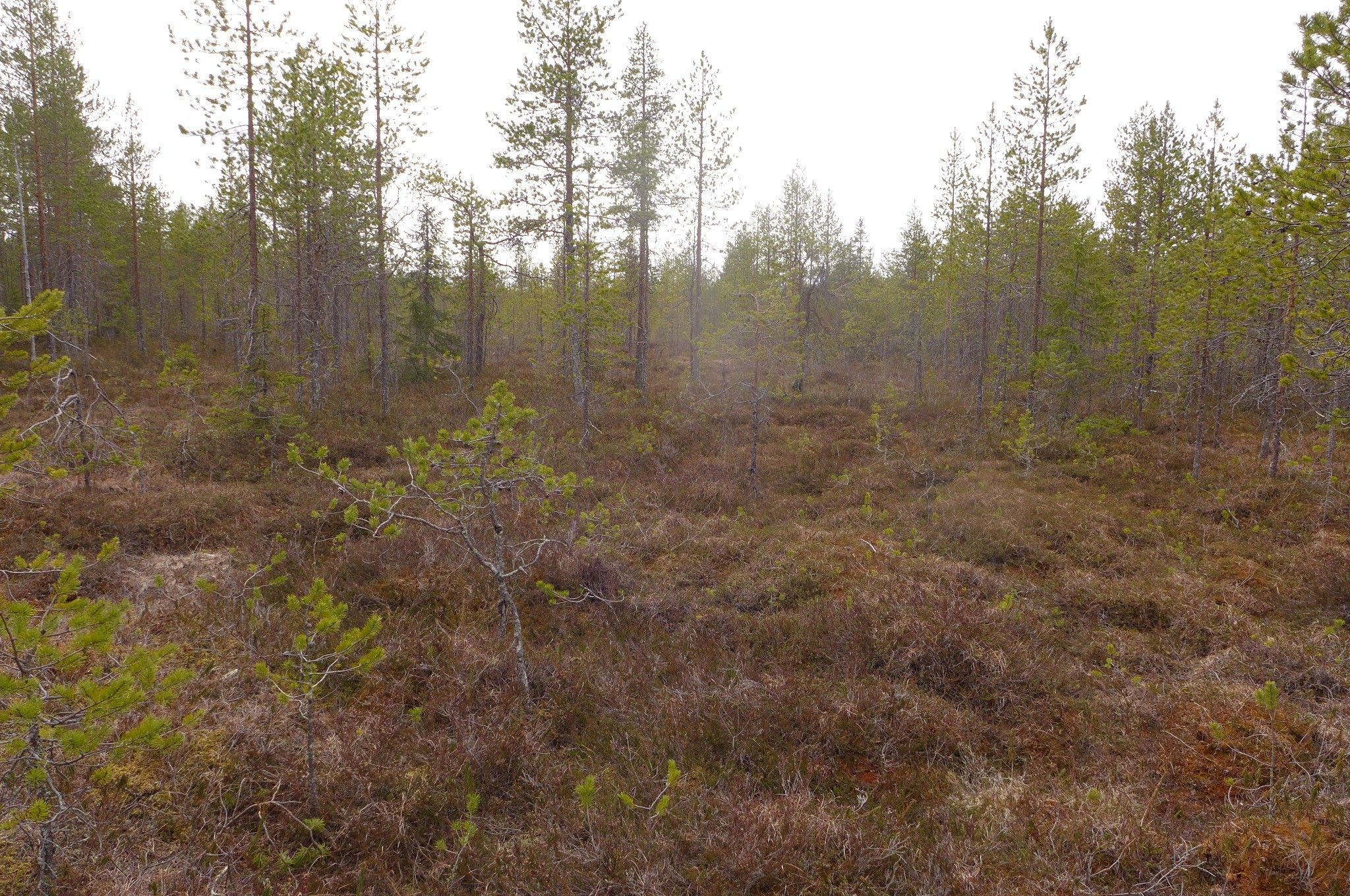 Image 6/24