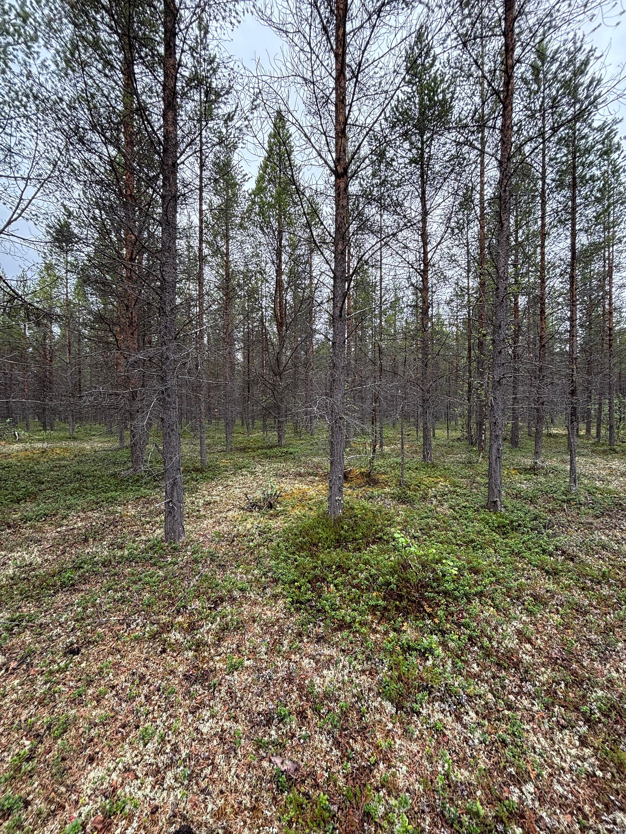 Image 10/12