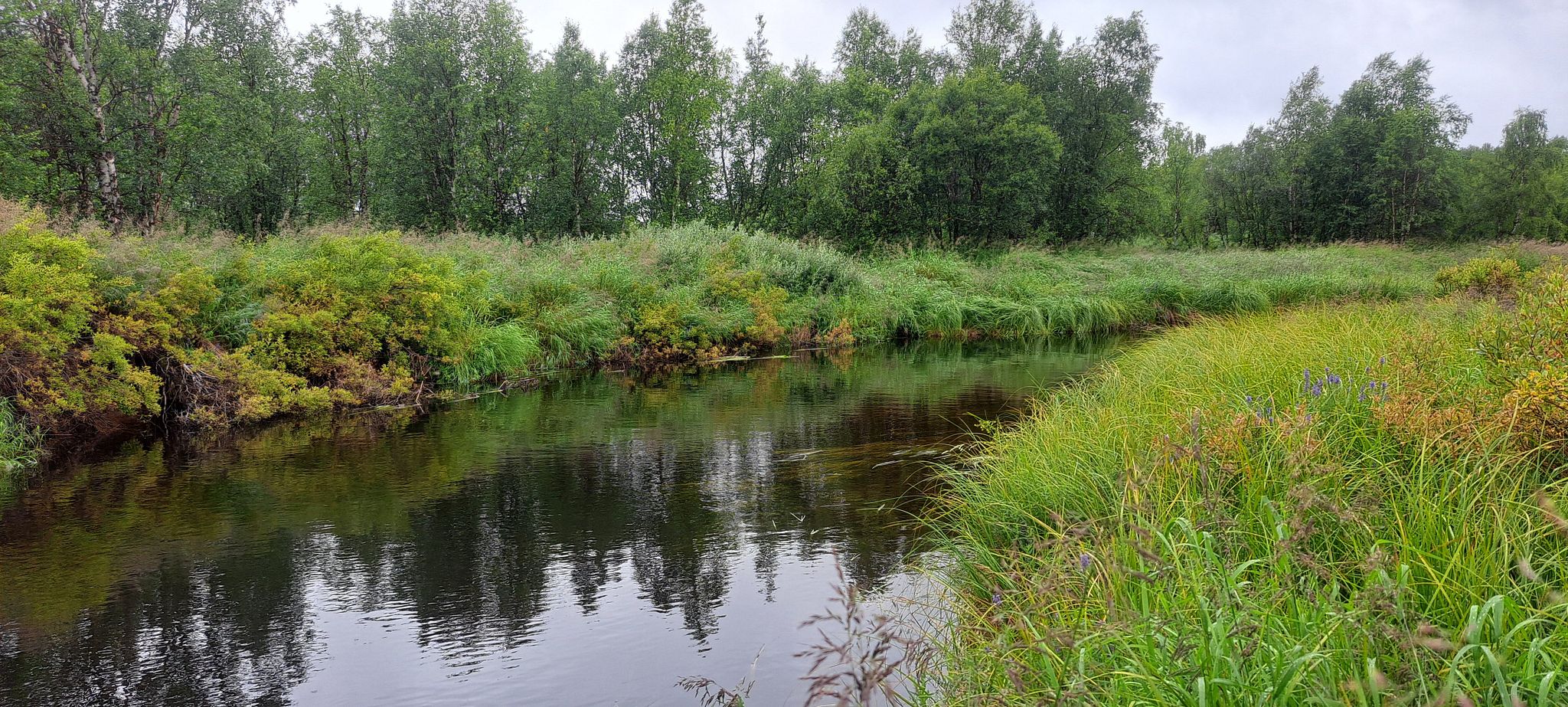 Image 18/18