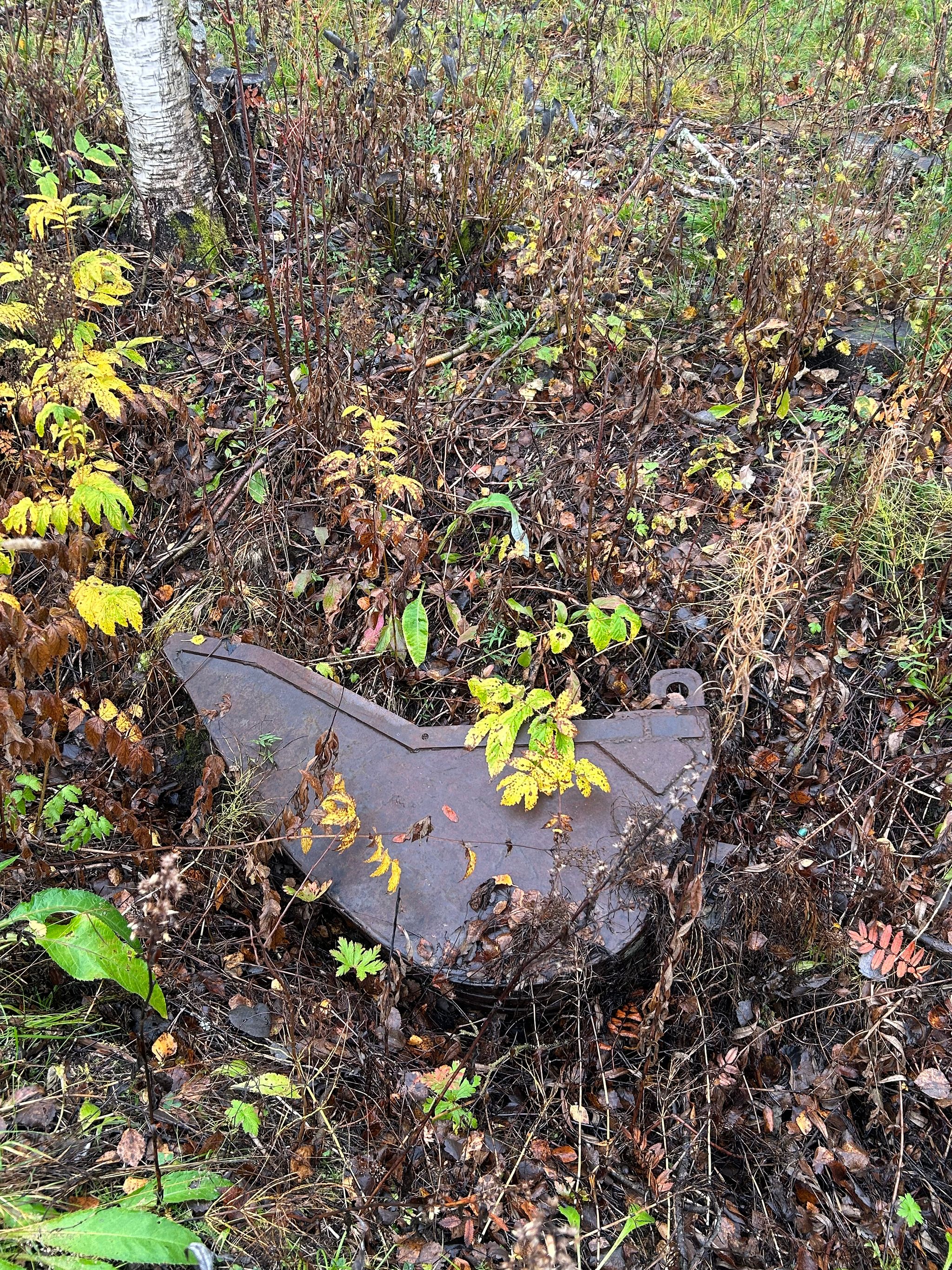 Image 15/18