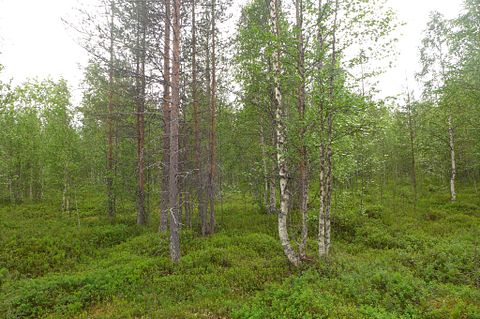 Image 16/21