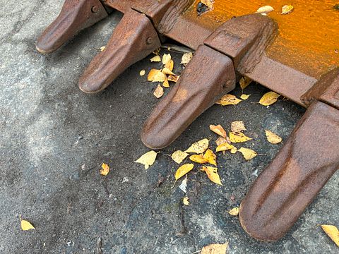 Image 8/8