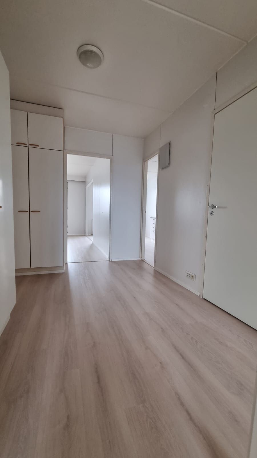 Image 11/11