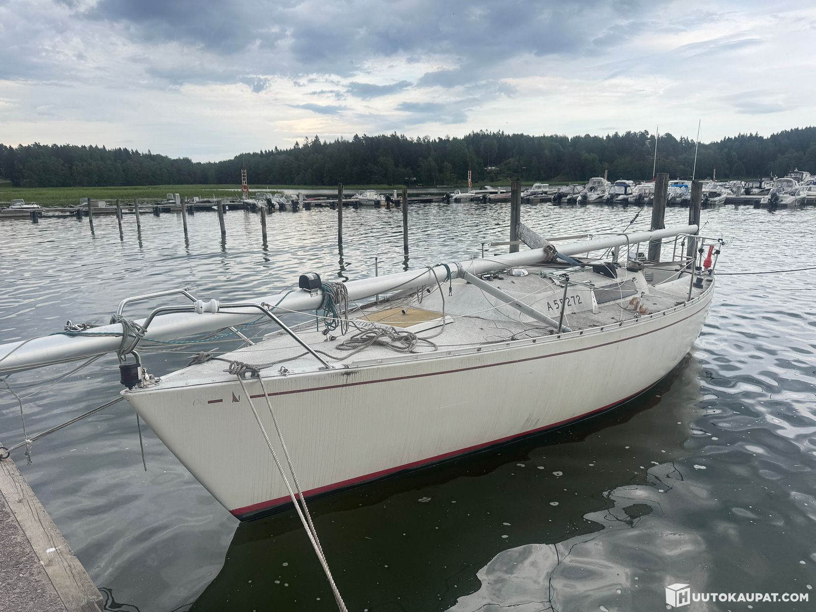 Purjevene Albin Express A55272, Sipoo | Huutokaupat.com