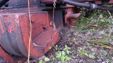 Image 8/19