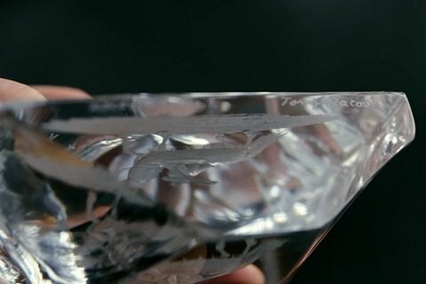 Image 10/55