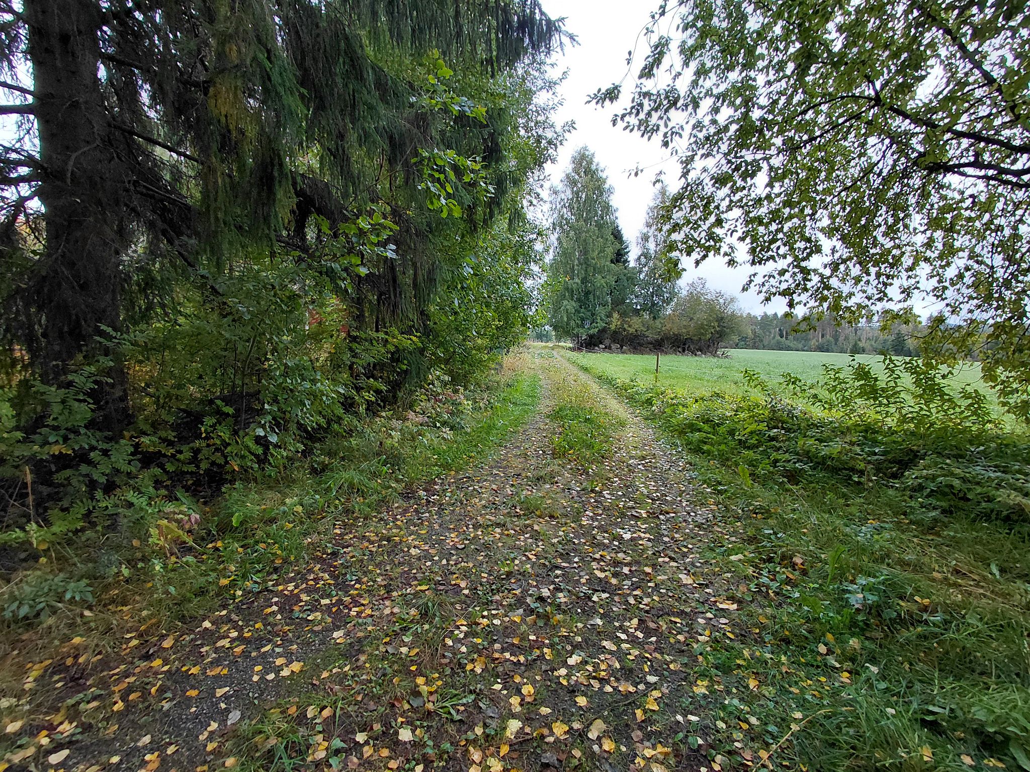 Image 23/131