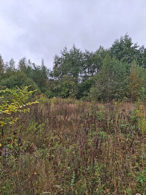 Image 6/12
