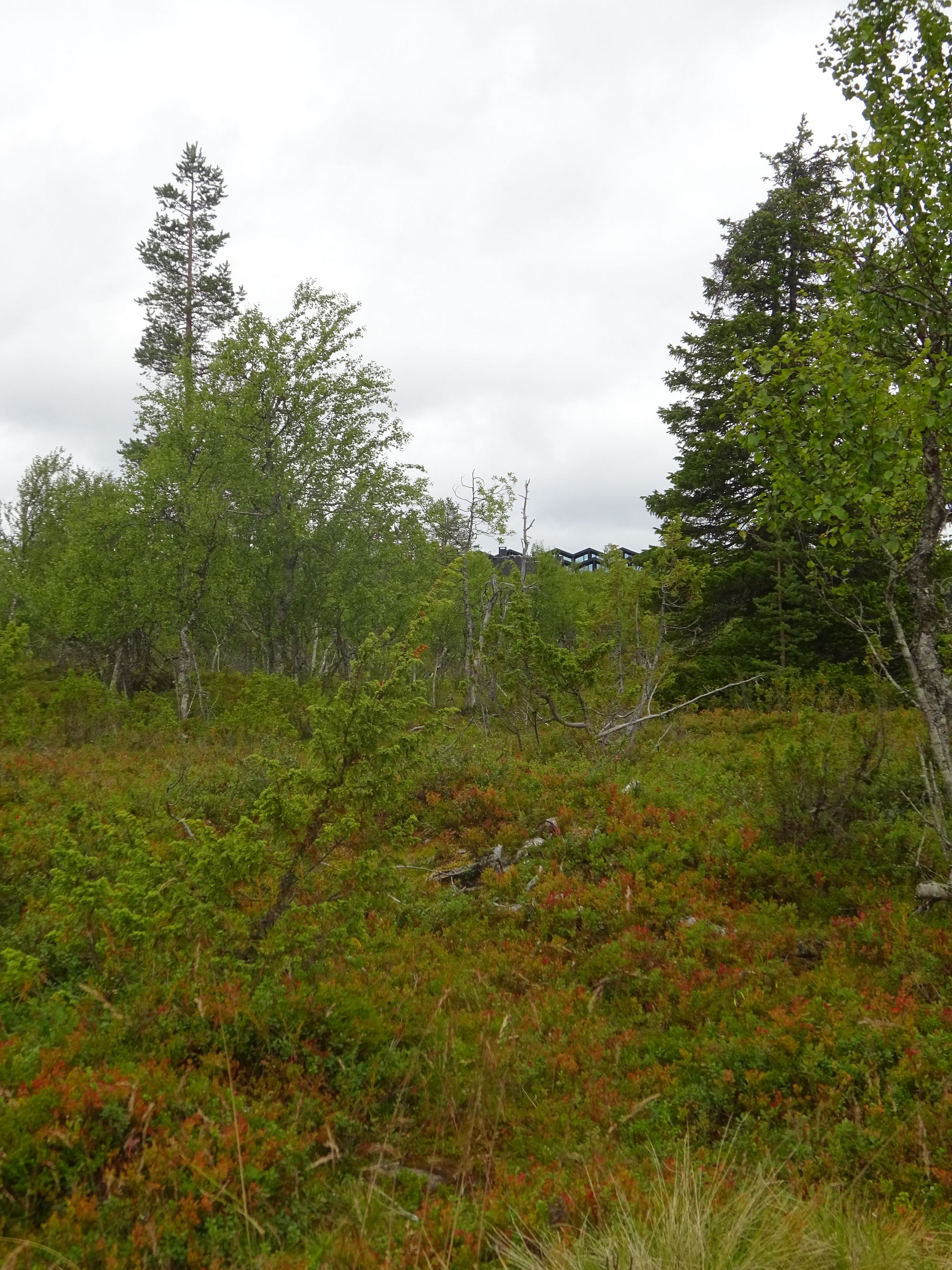 Image 7/8