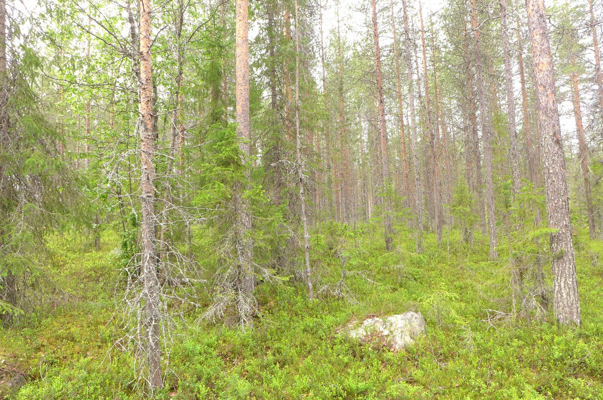 Image 50/51