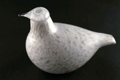 Image 4/17