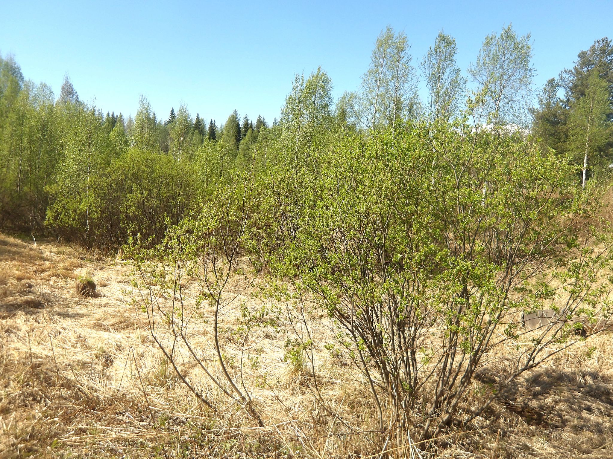 Image 5/5