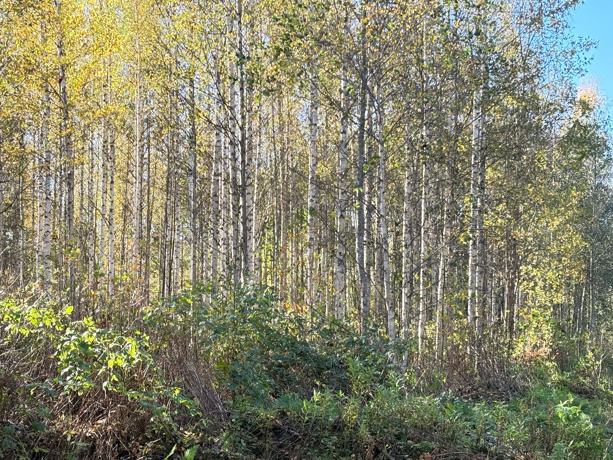 Image 3/30