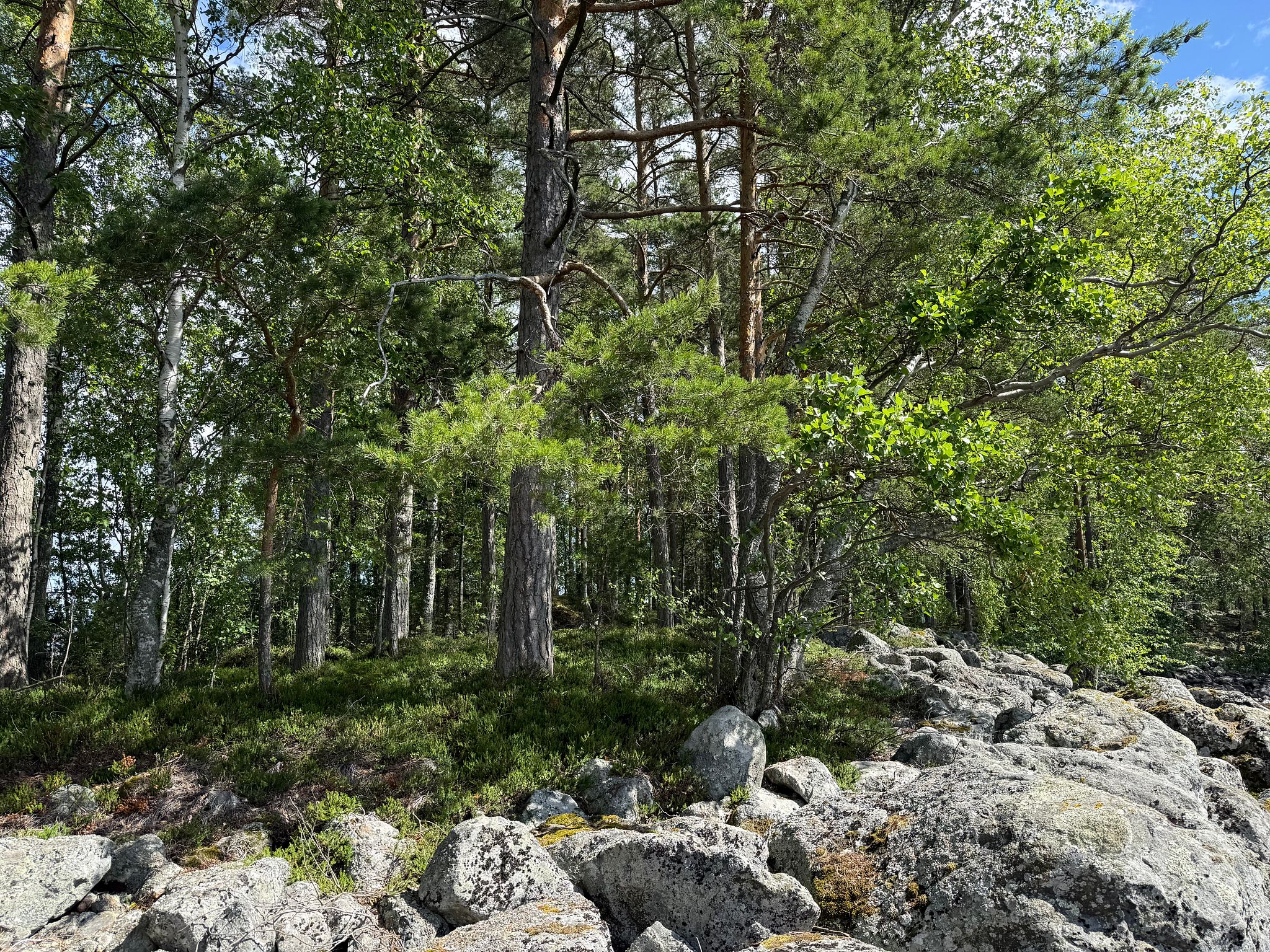 Image 14/31