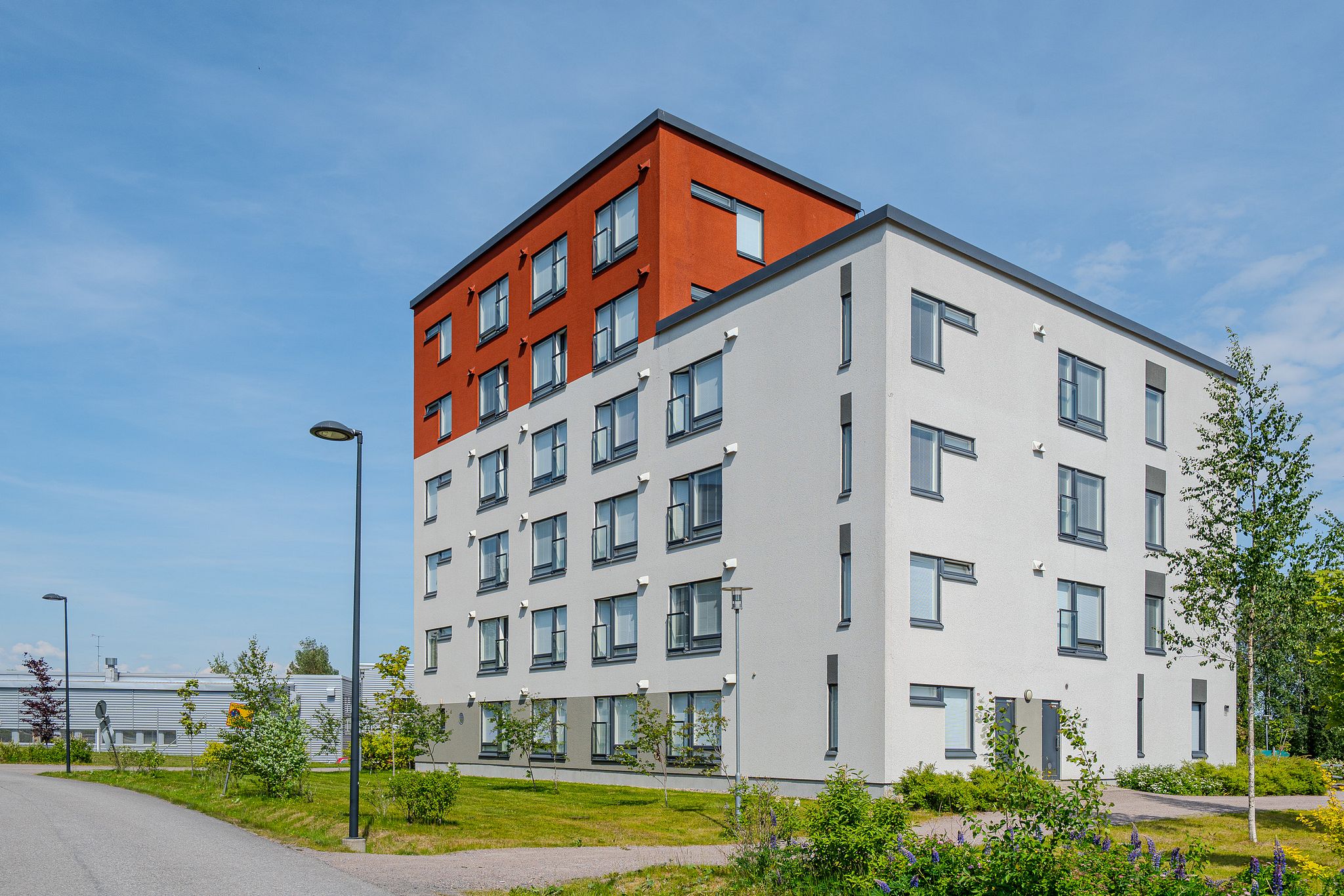 Image 11/11