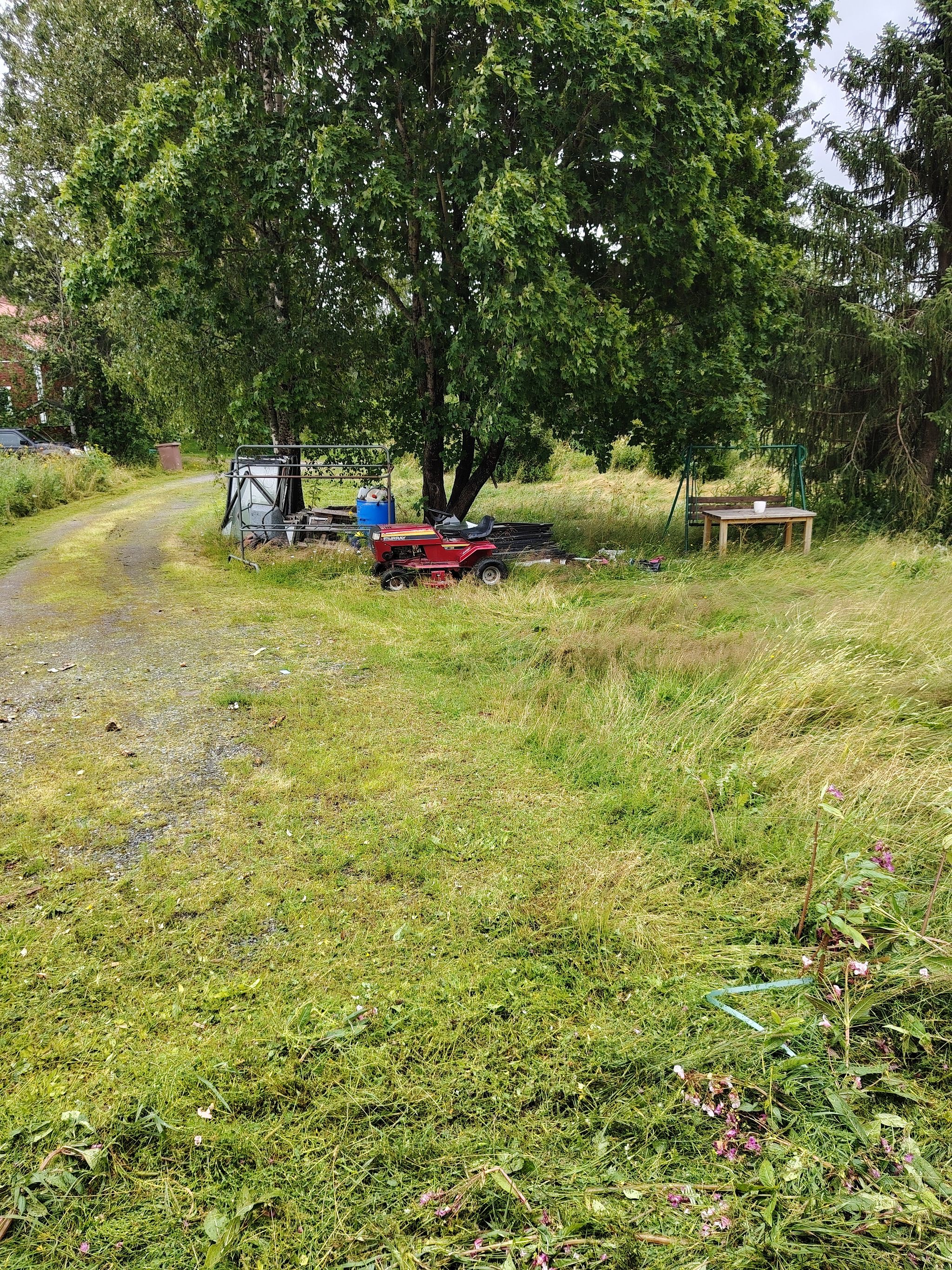 Image 54/61
