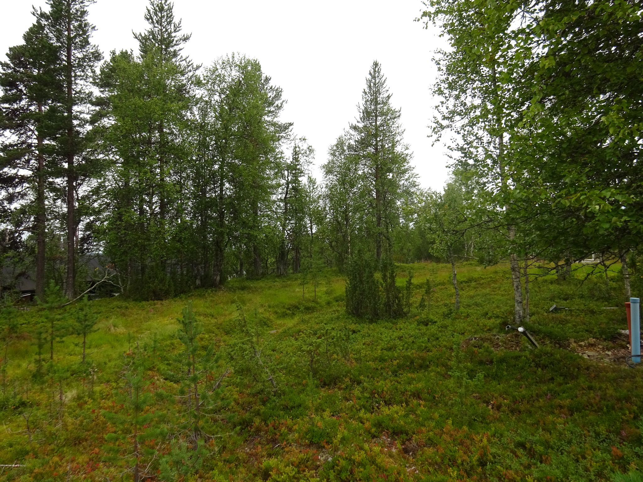Image 7/9