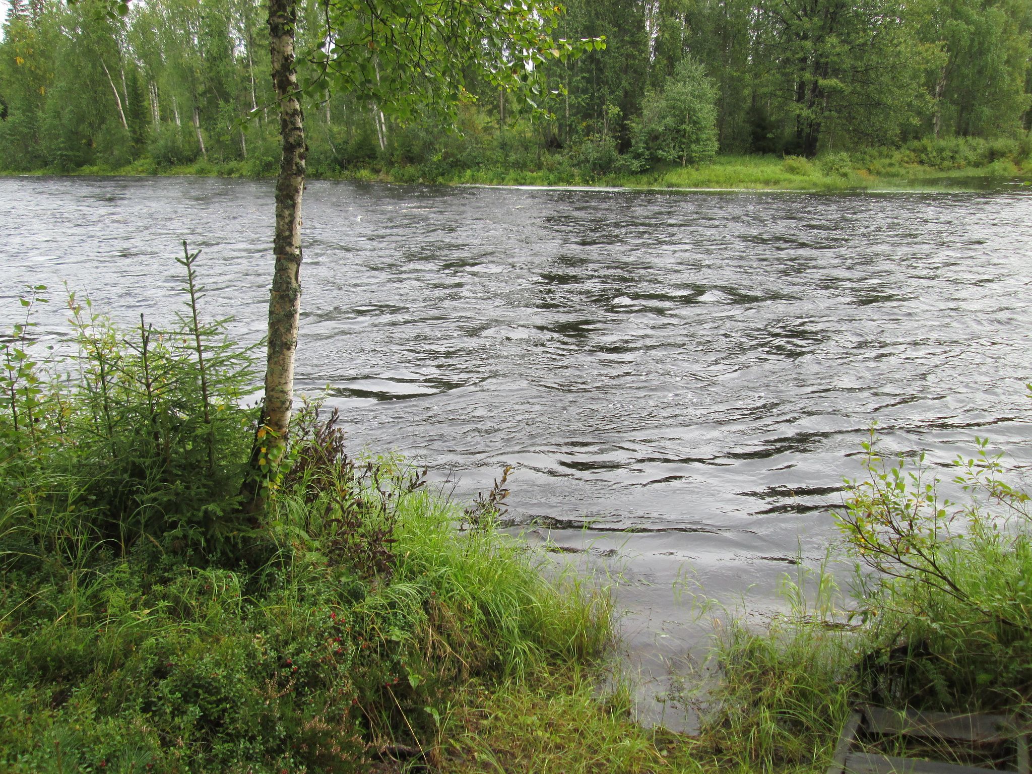 Image 24/33