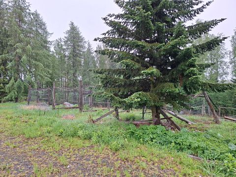 Image 3/40