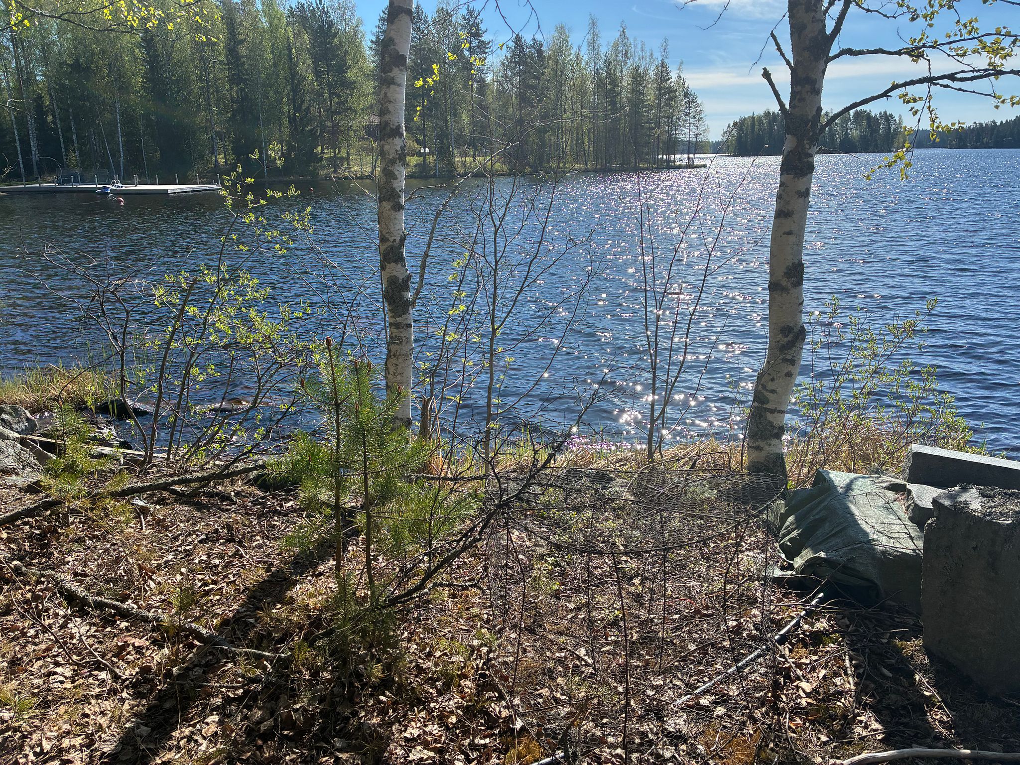 Image 5/6