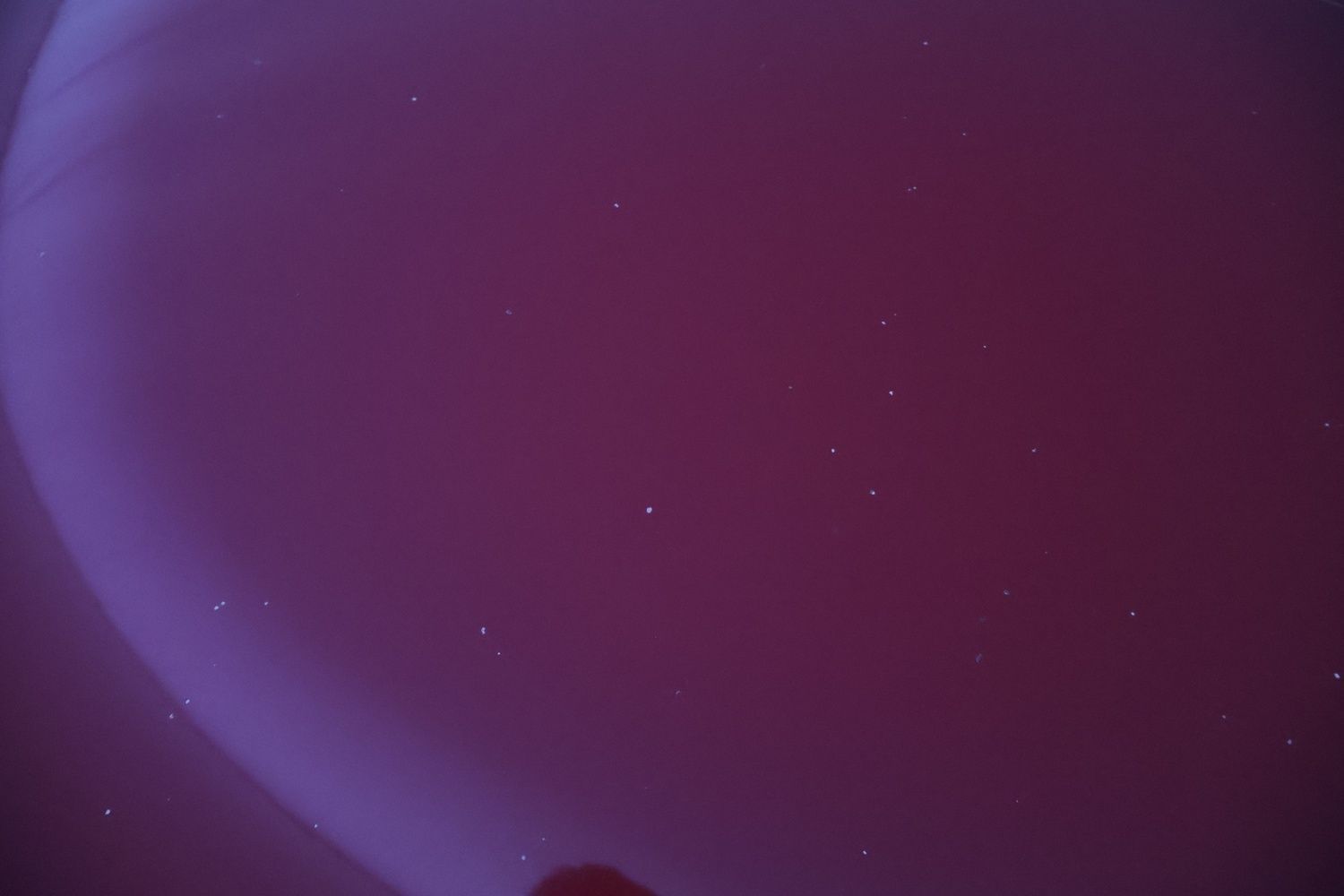 Kuva 31/51