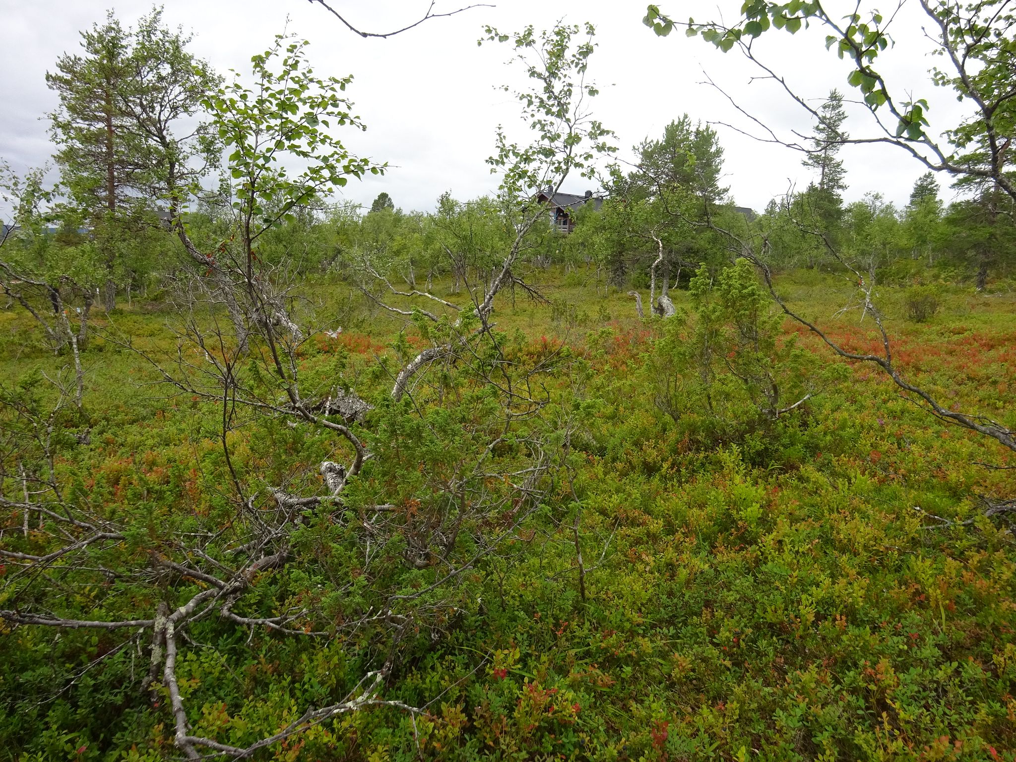 Image 7/10