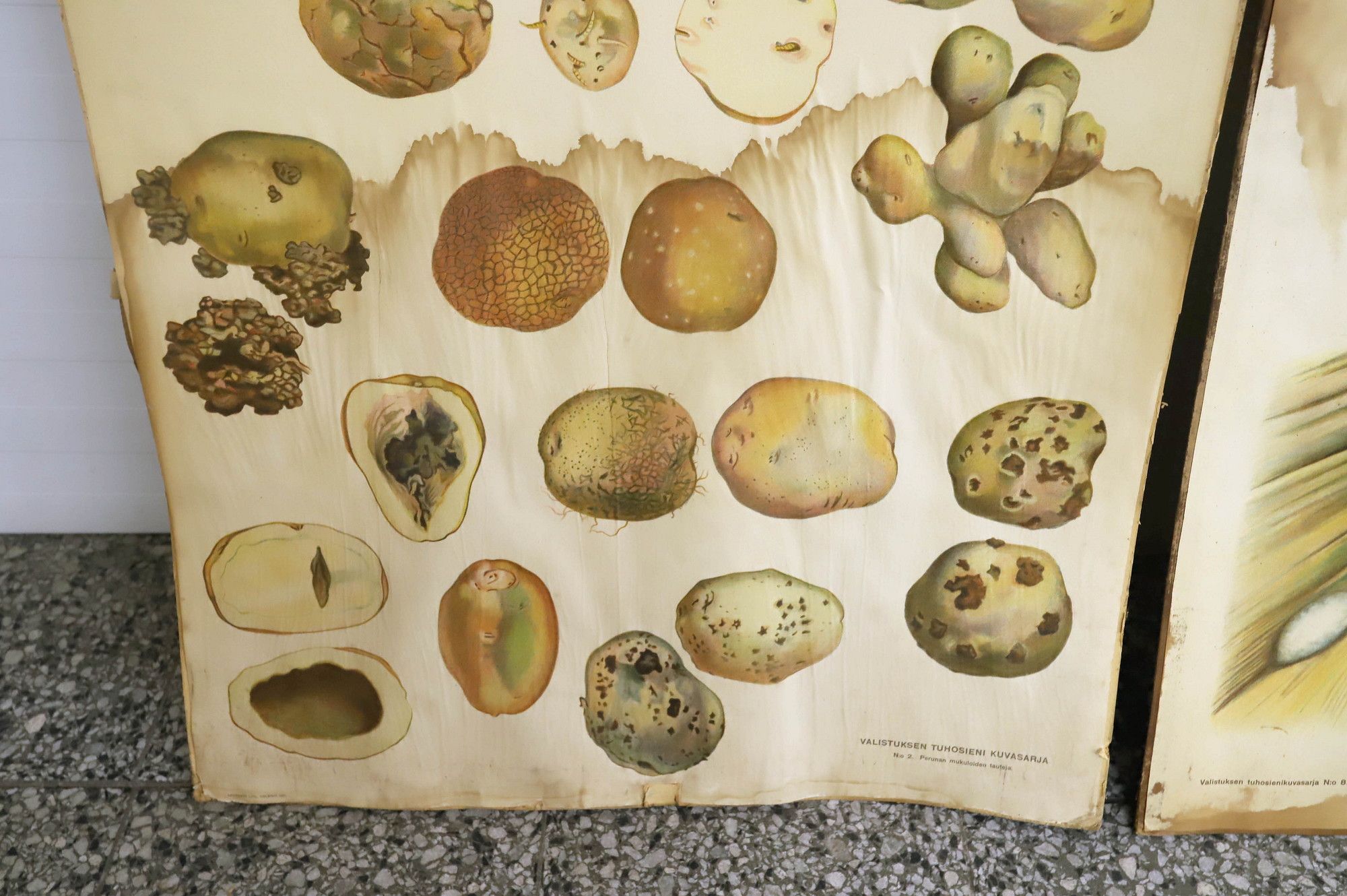 Image 21/23
