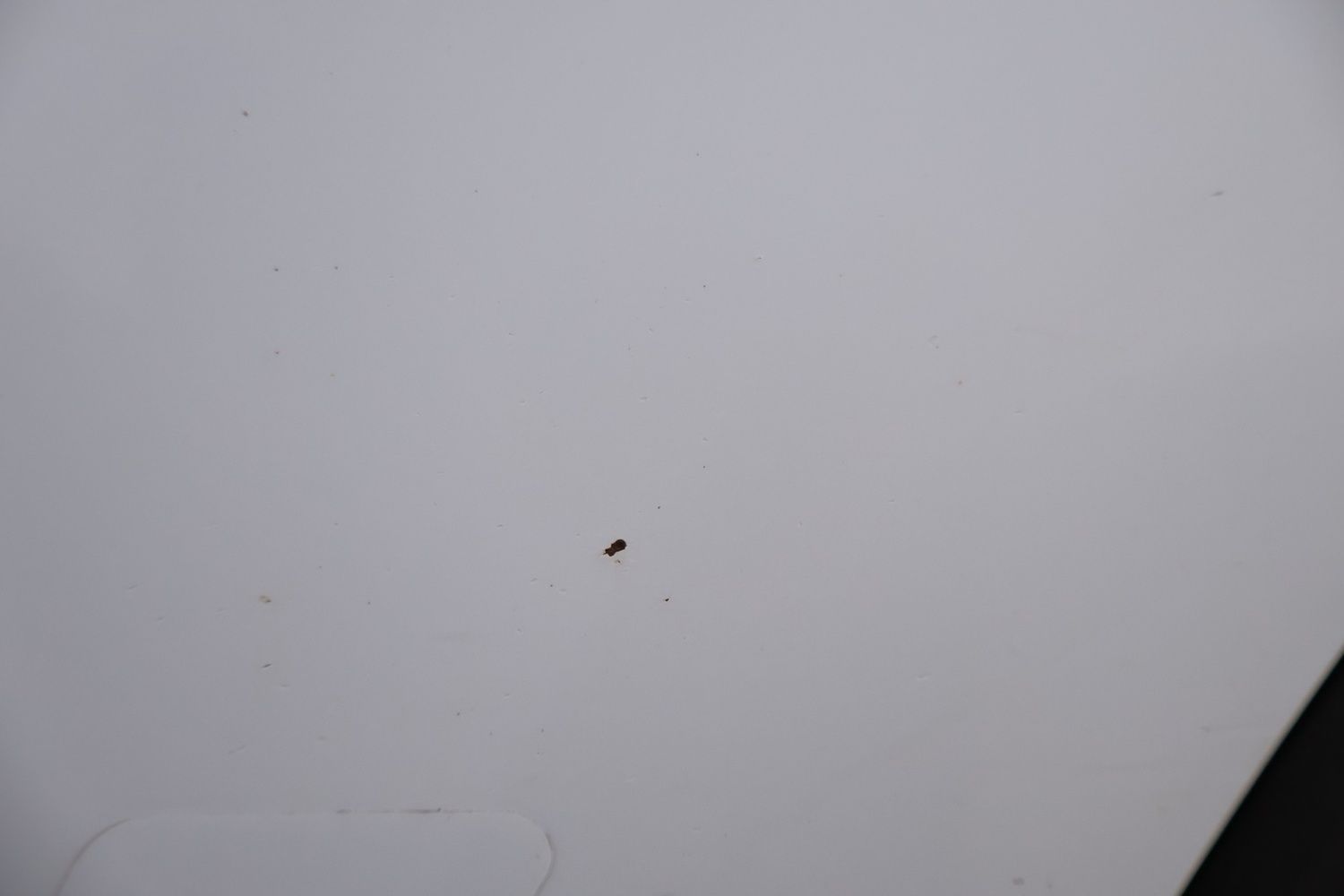 Image 37/61