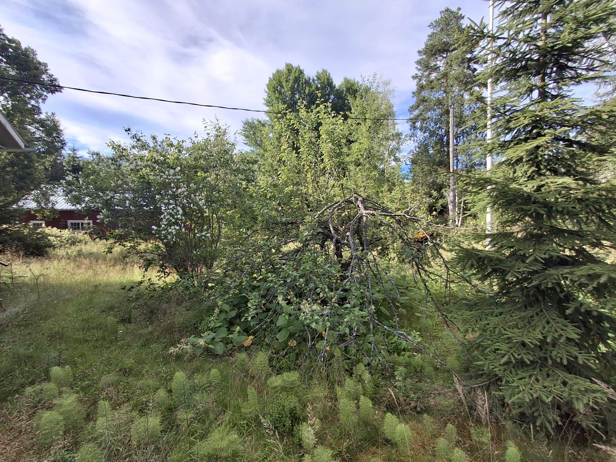 Image 4/23