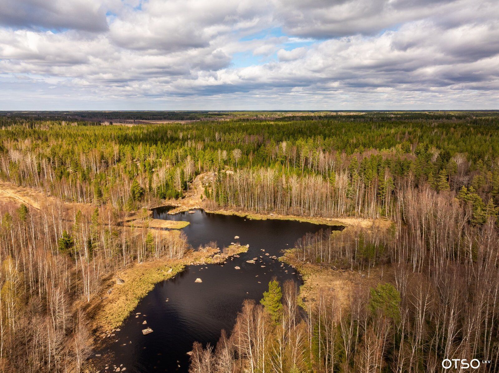 Image 8/11