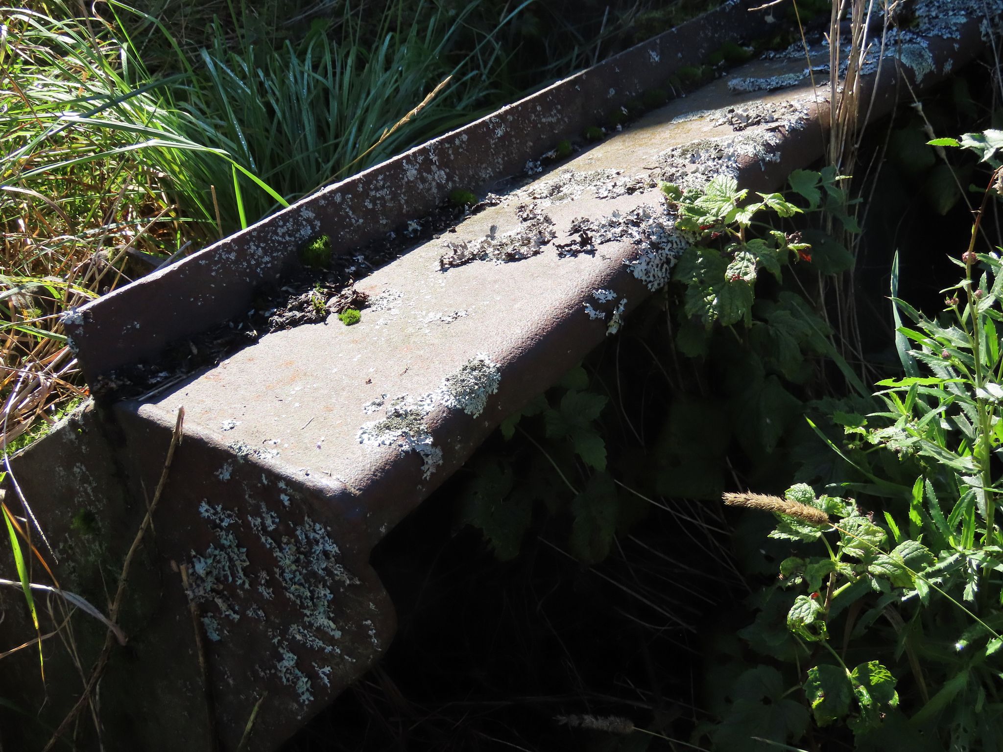 Image 11/12