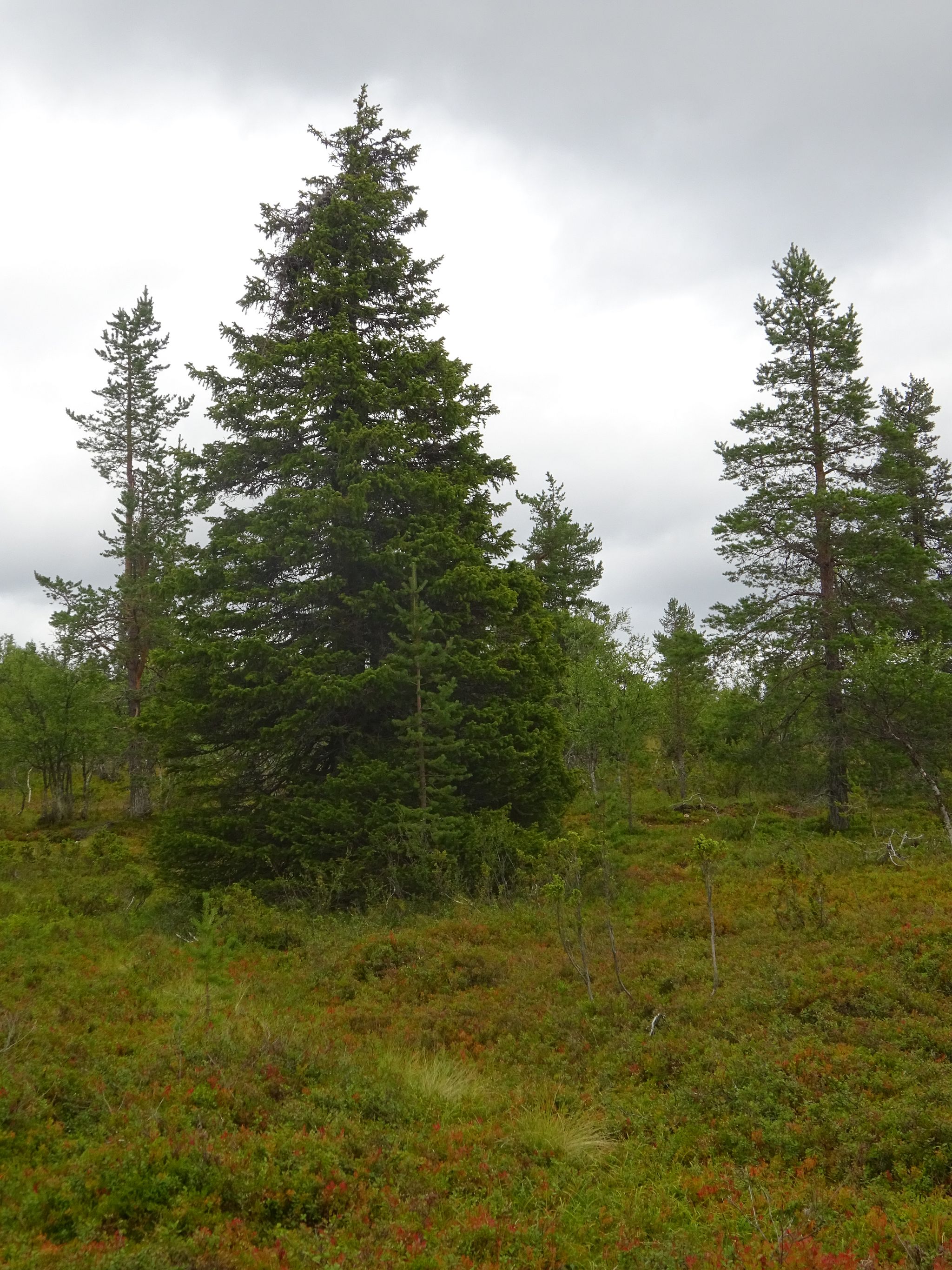 Image 5/8