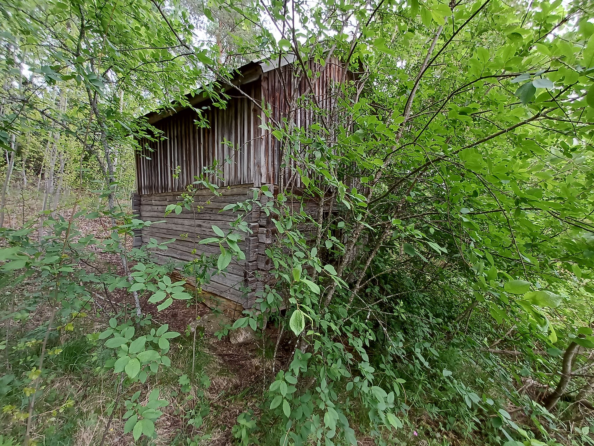Image 15/24