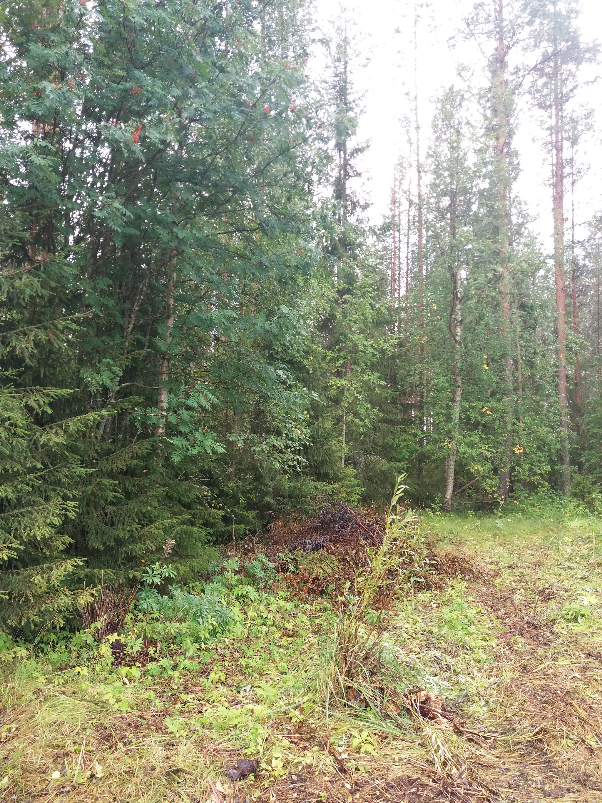 Image 3/21