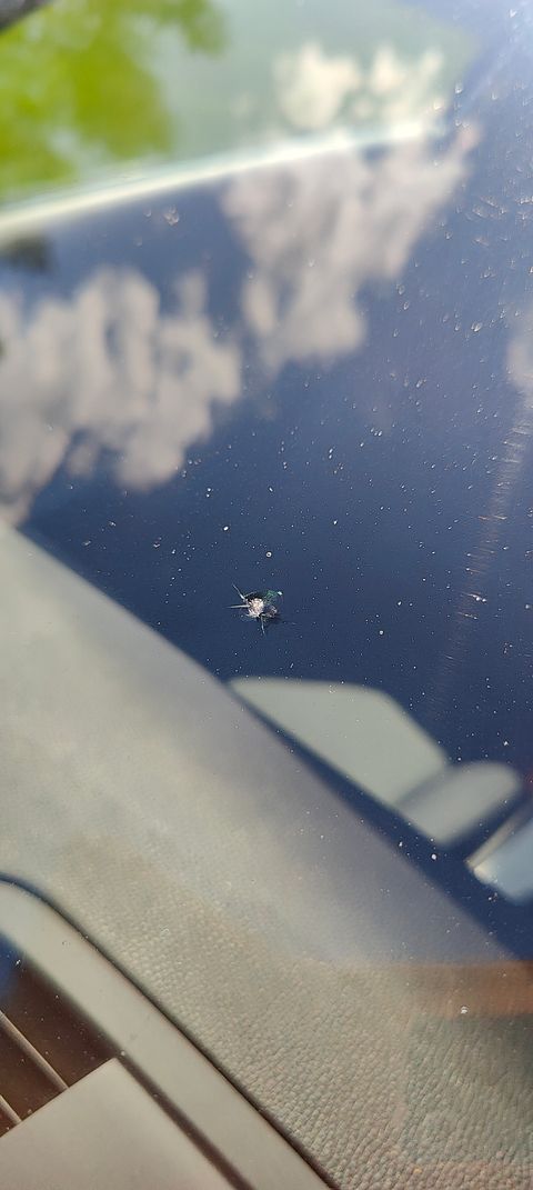 Image 17/19