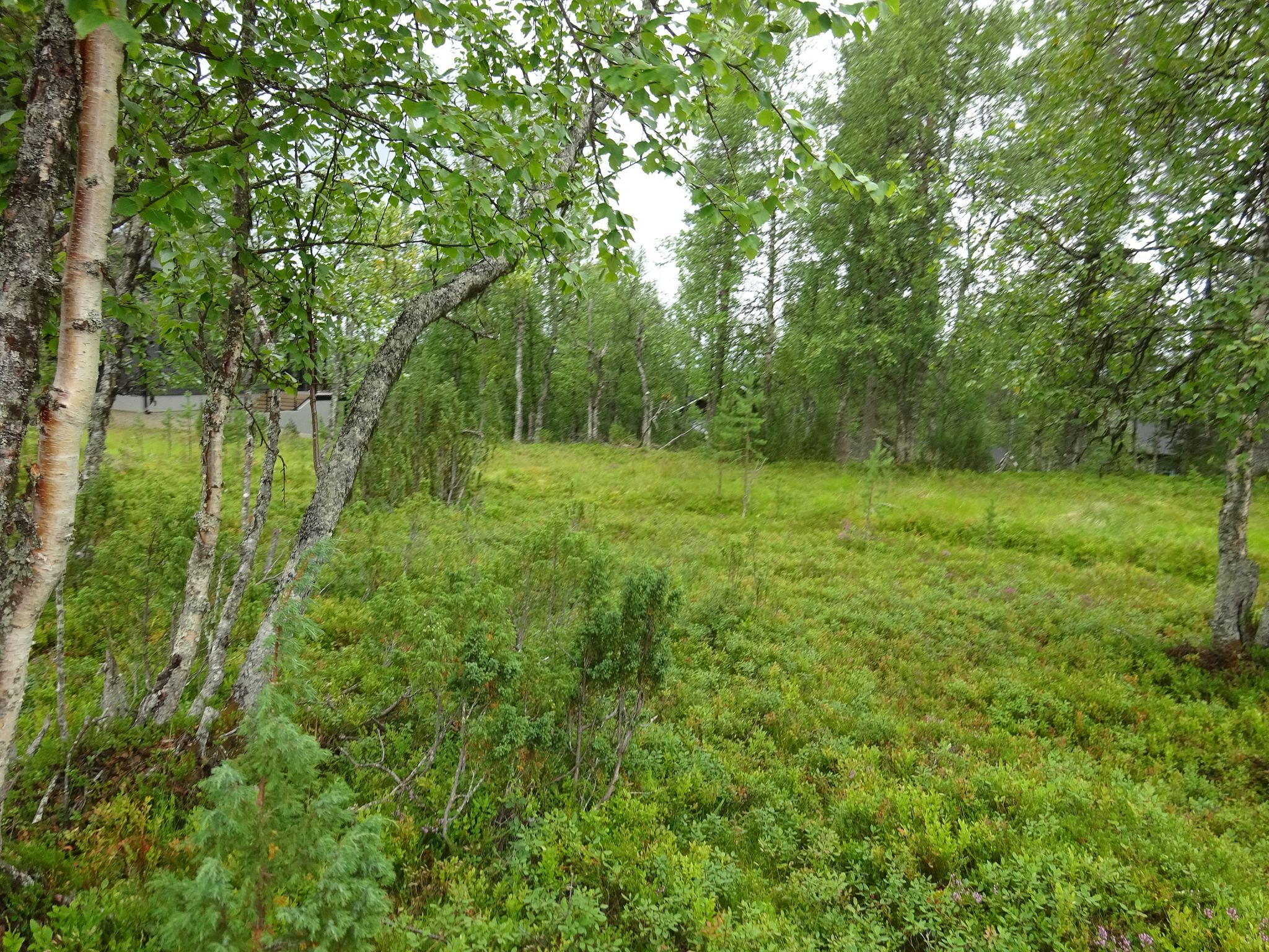 Image 2/9