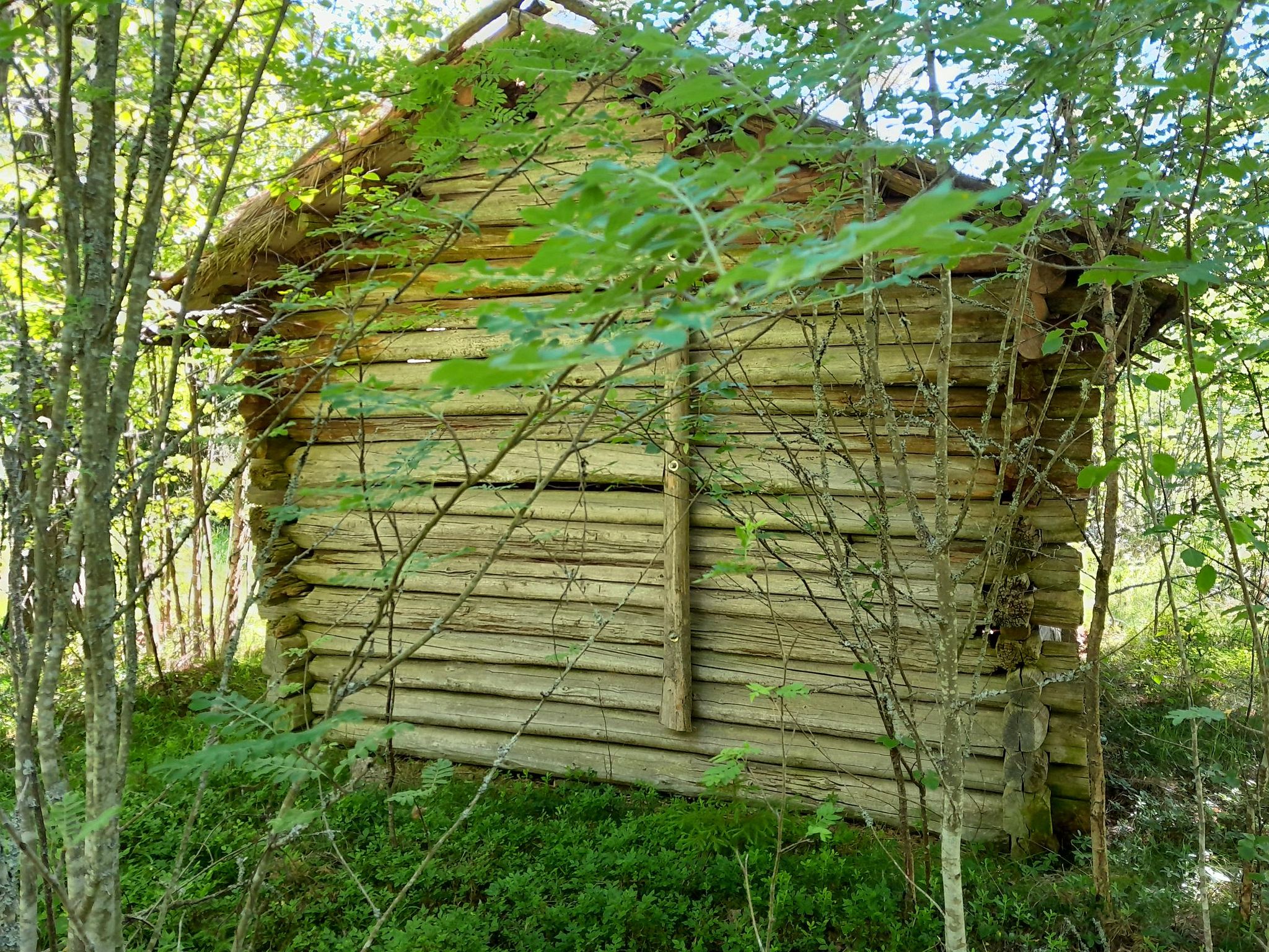 Image 4/8