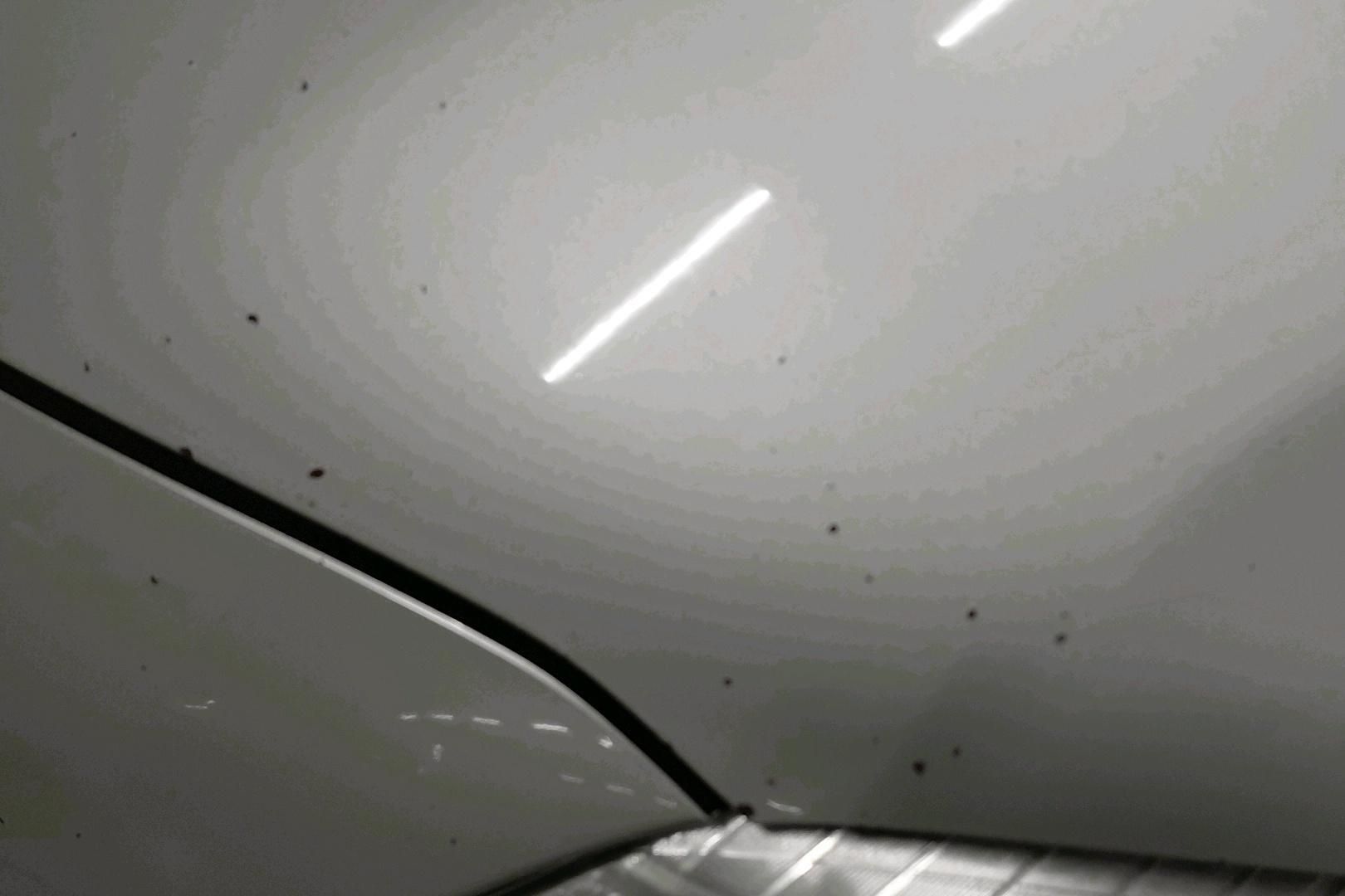 Image 42/49