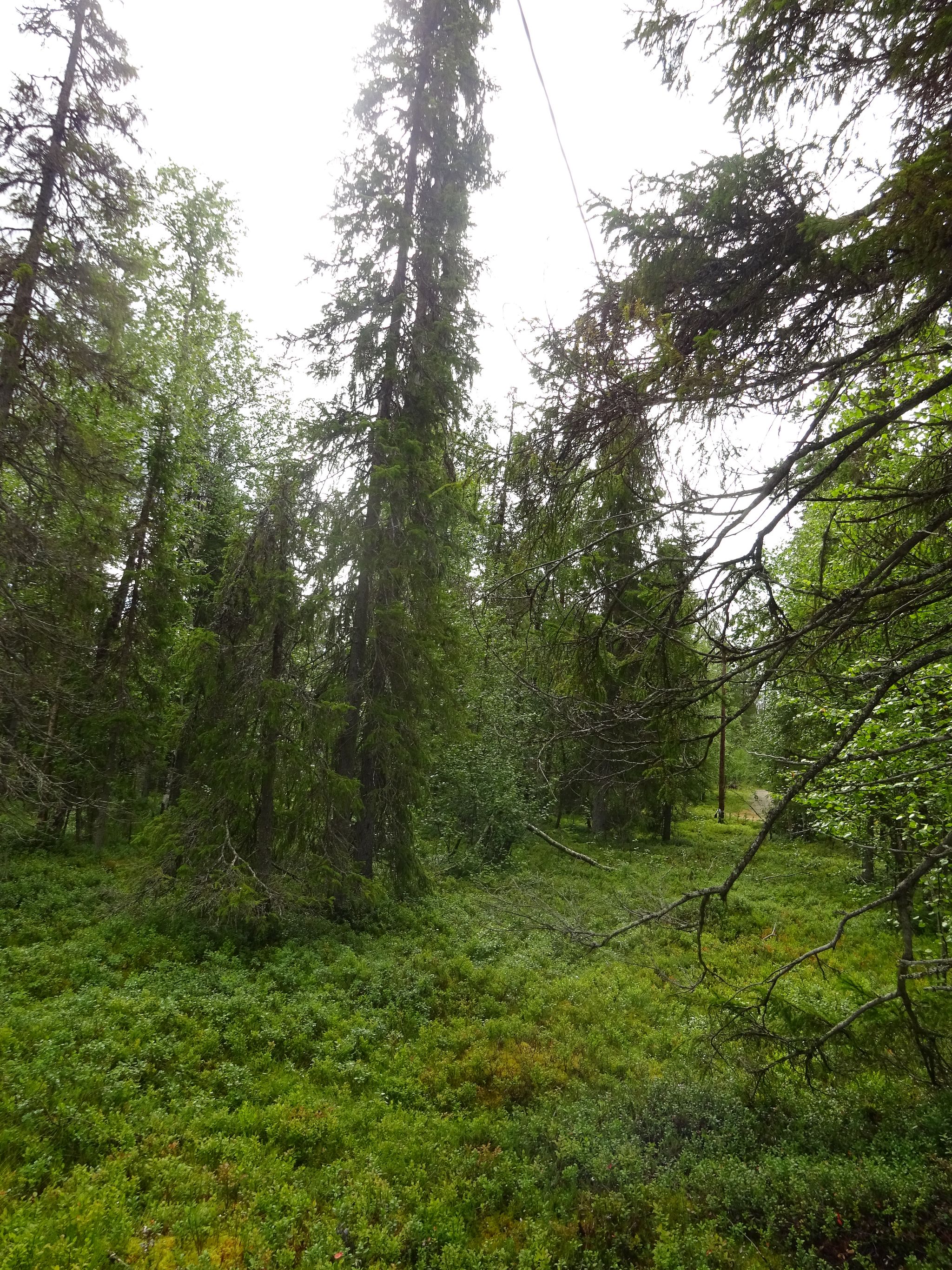 Image 10/11