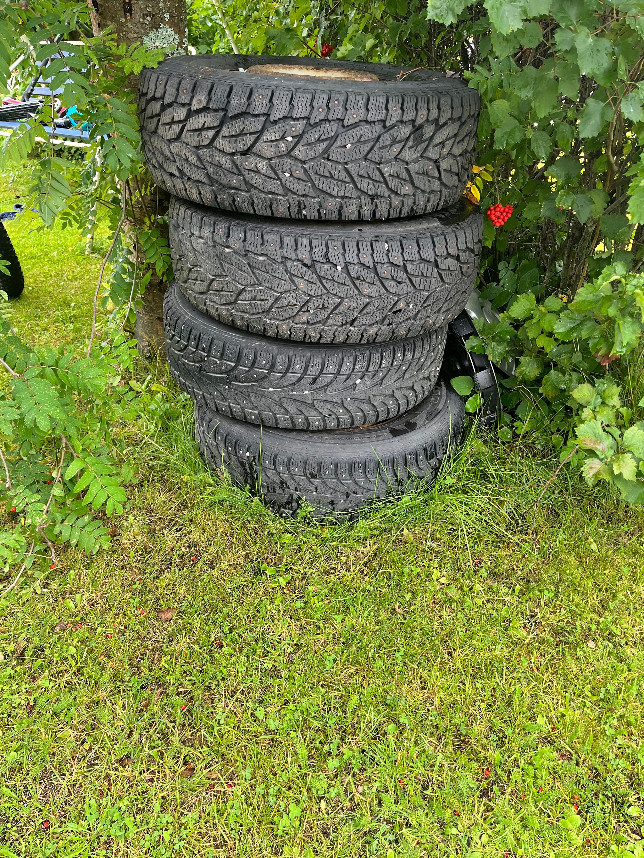 Image 9/10