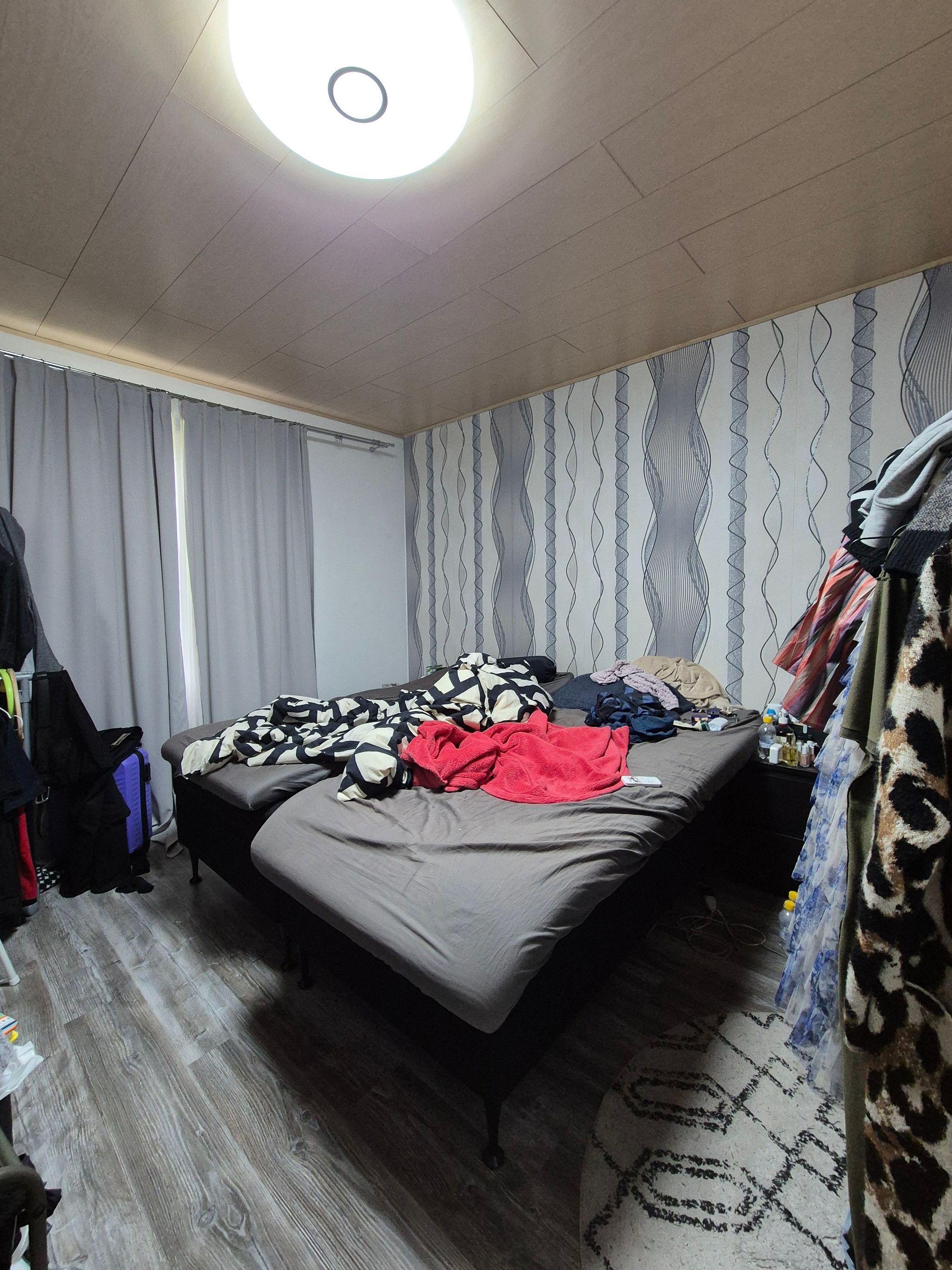 Image 5/49