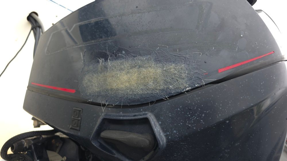 Image 12/24