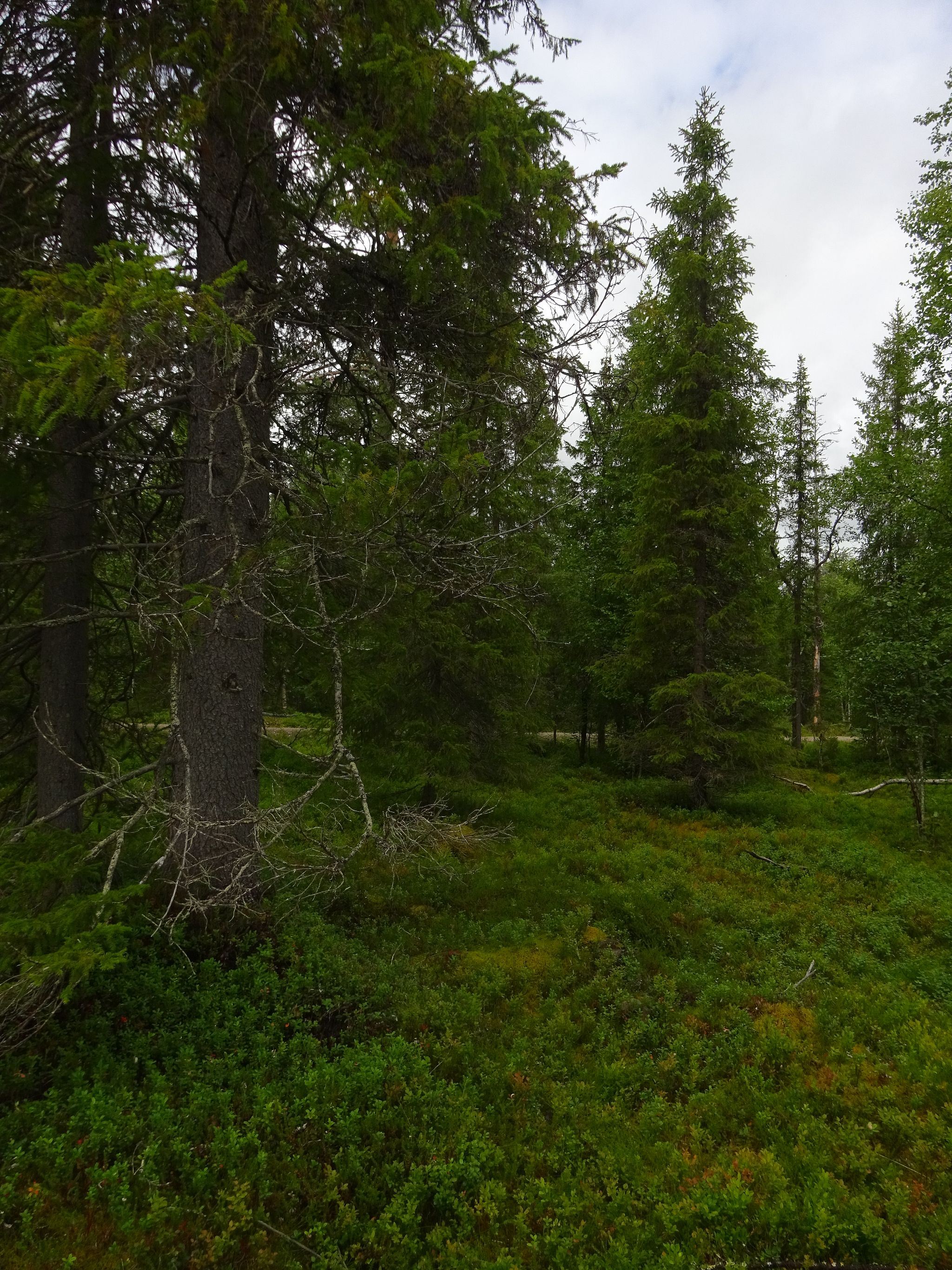 Image 8/11