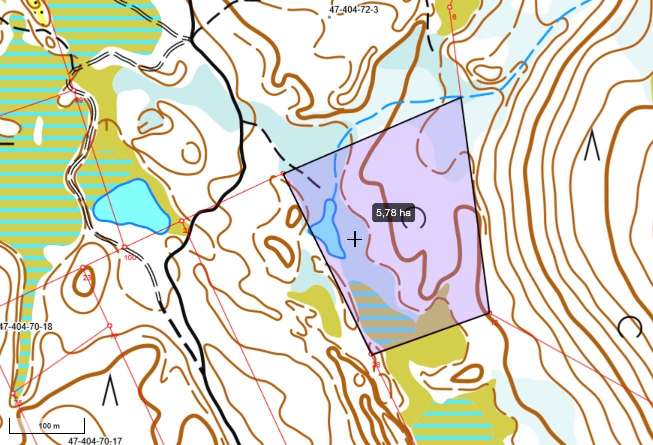 Image 7/13