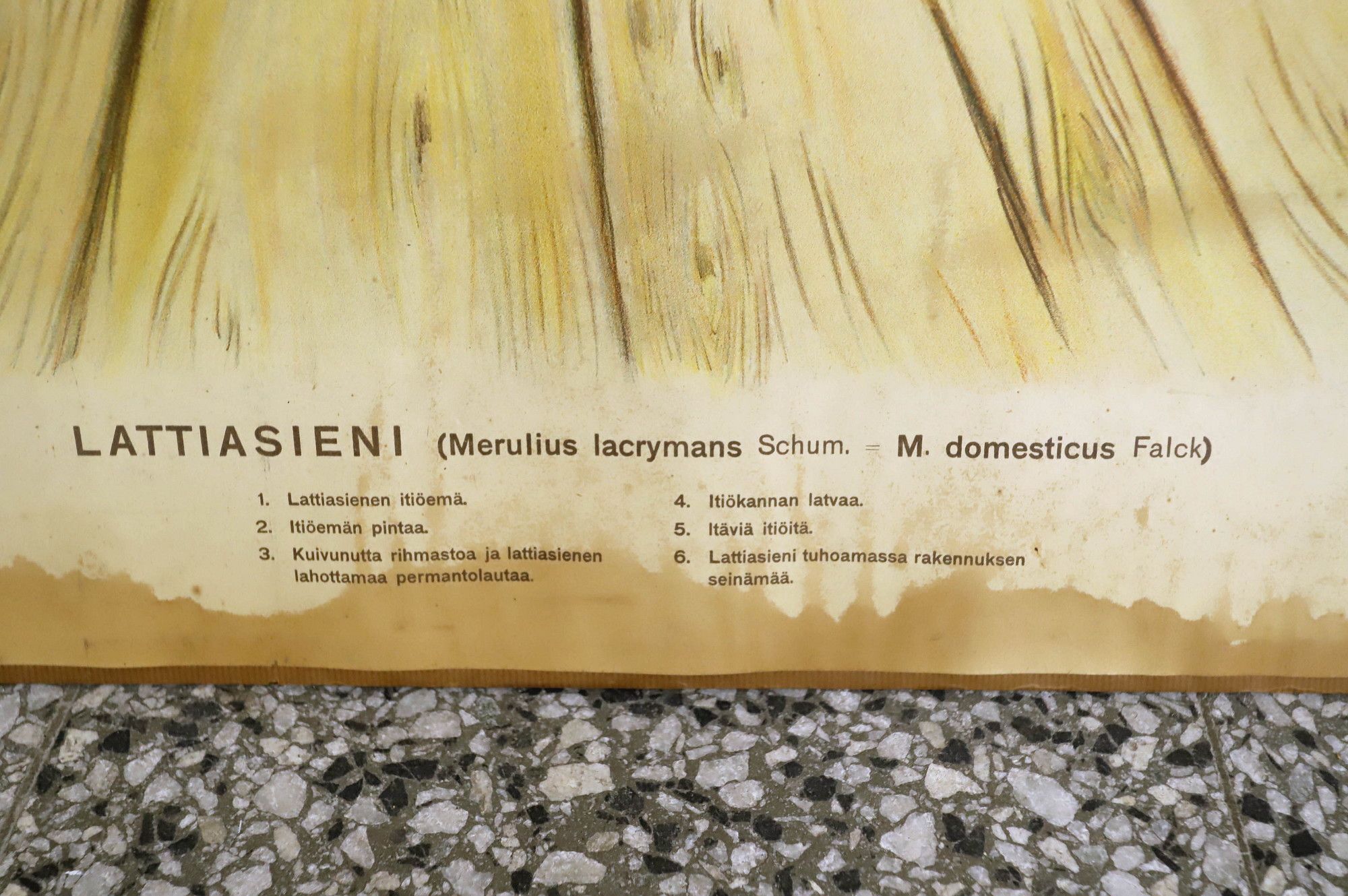 Image 17/23