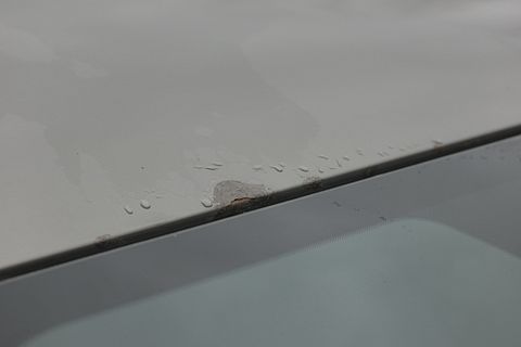 Image 48/55
