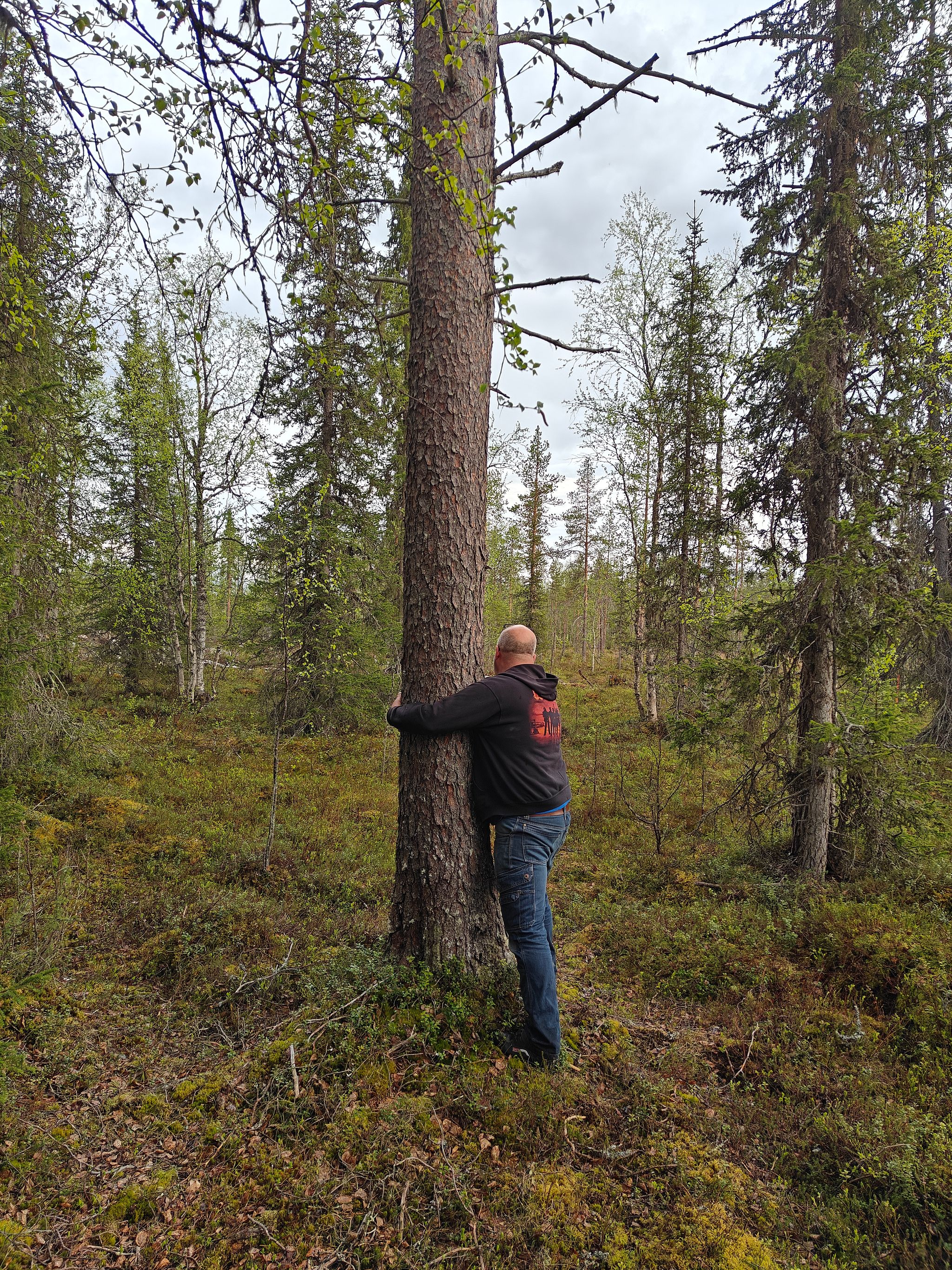 Image 1/15