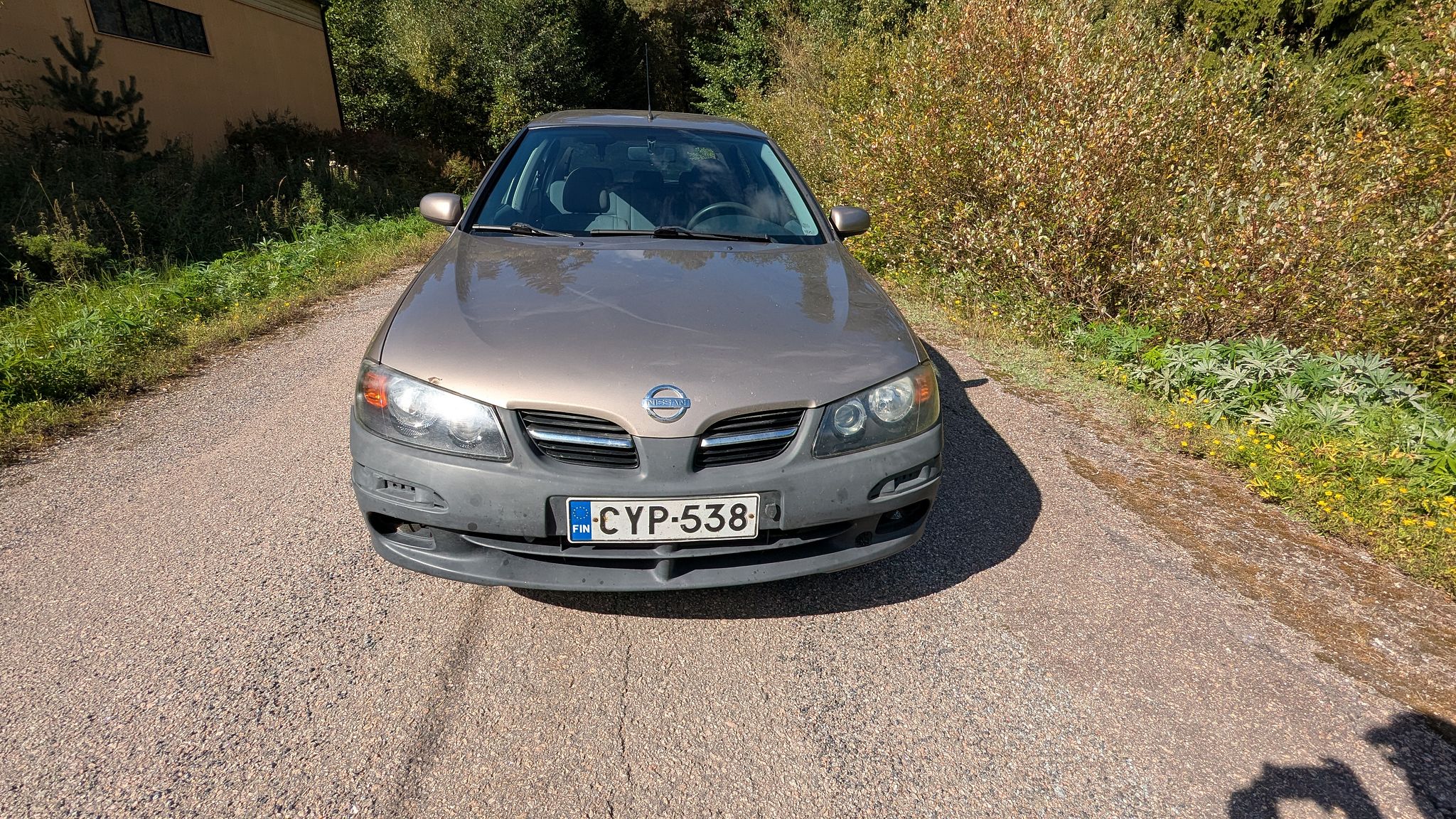 Image 1/12