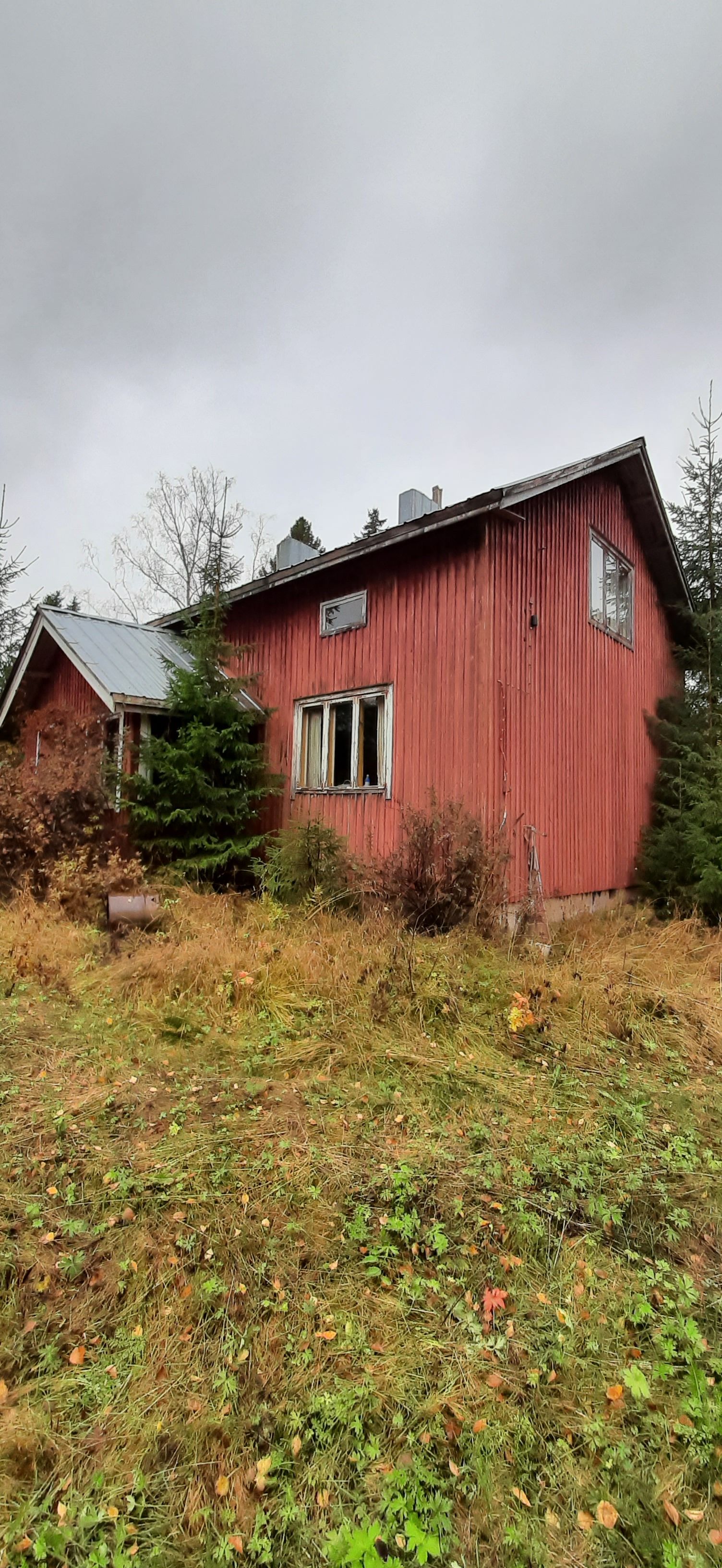 Image 2/46