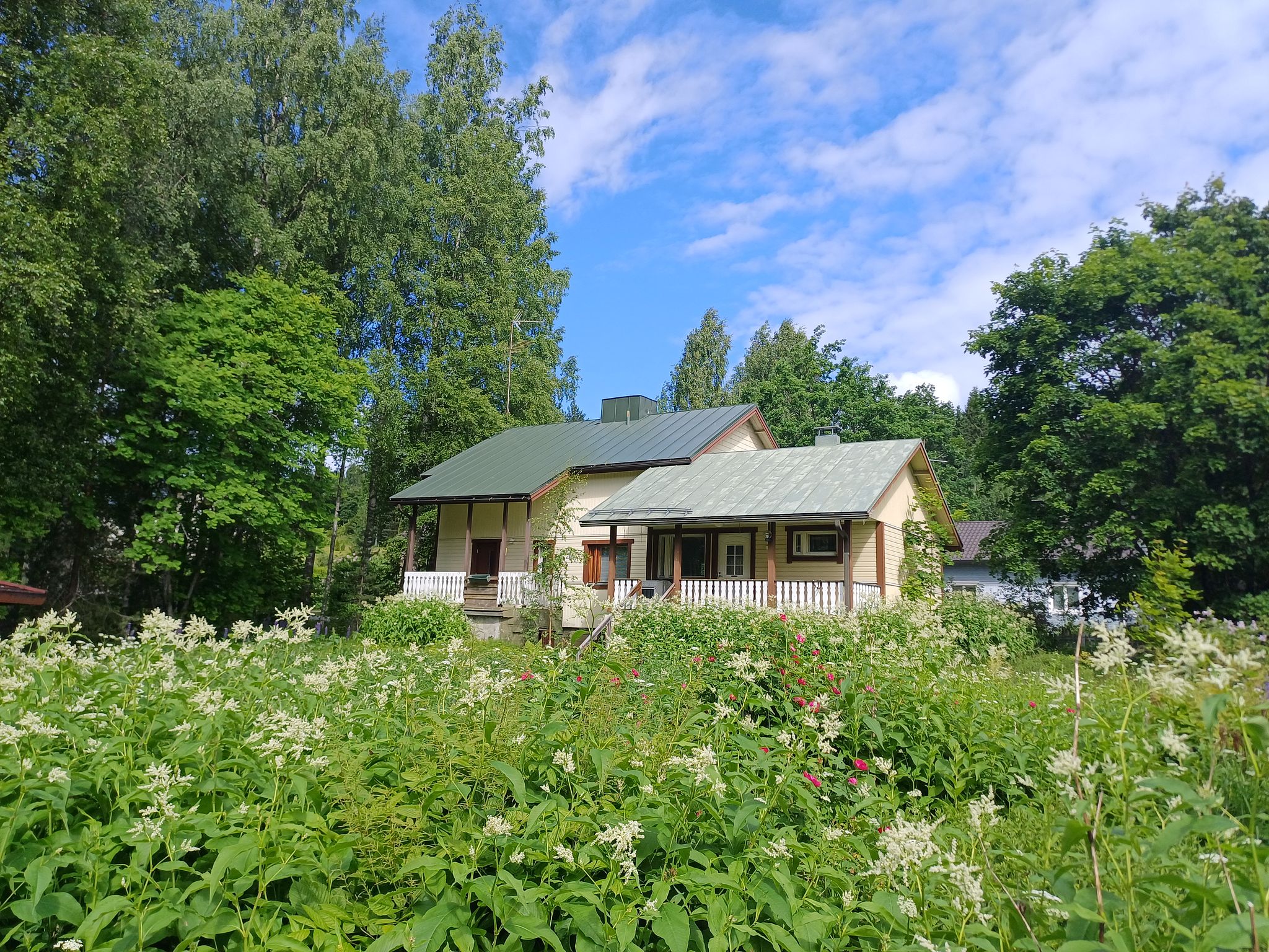 Image 2/45